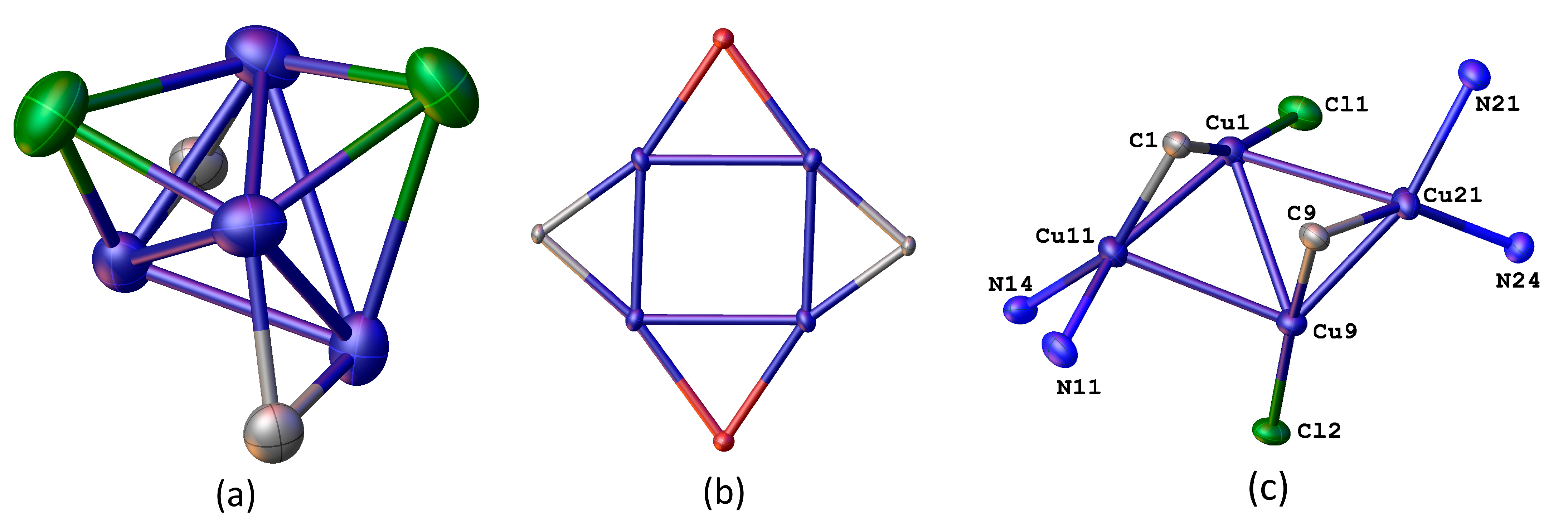 Molbank 2024 m1832 g002