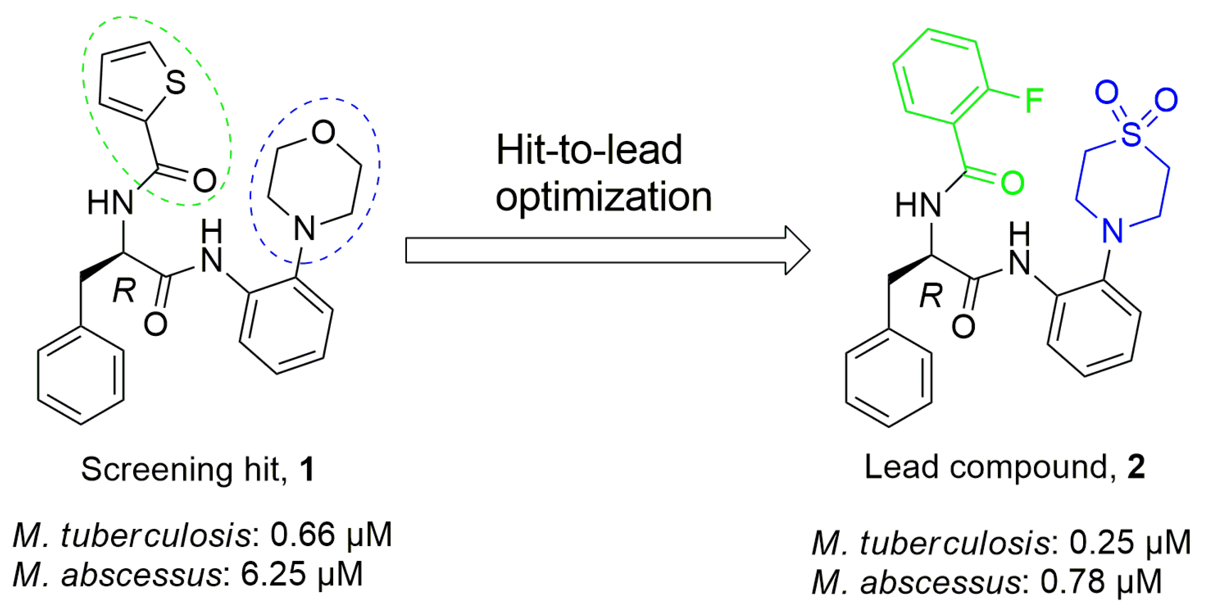 Molbank 2024 m1851 g001