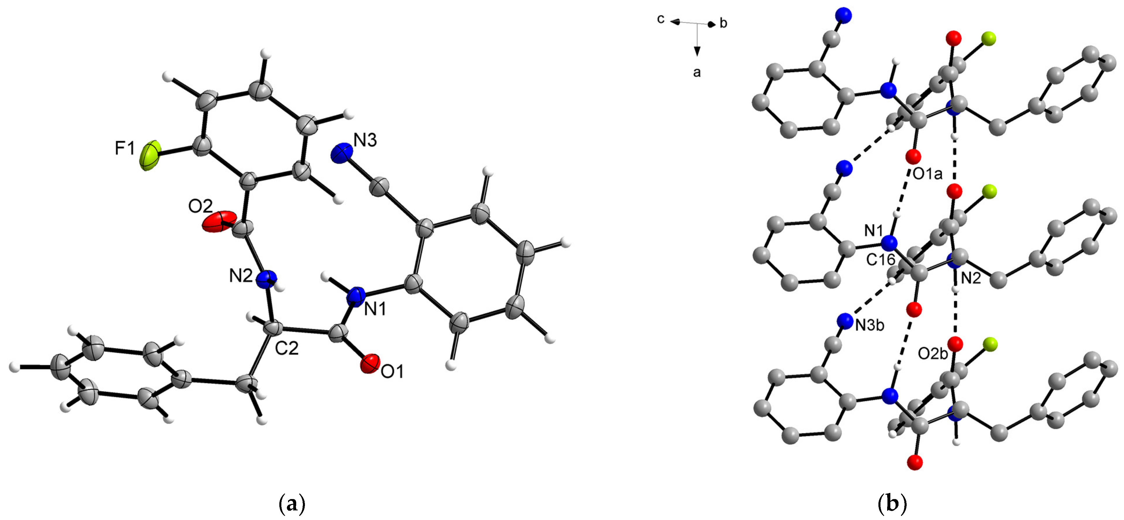 Molbank 2024 m1851 g002