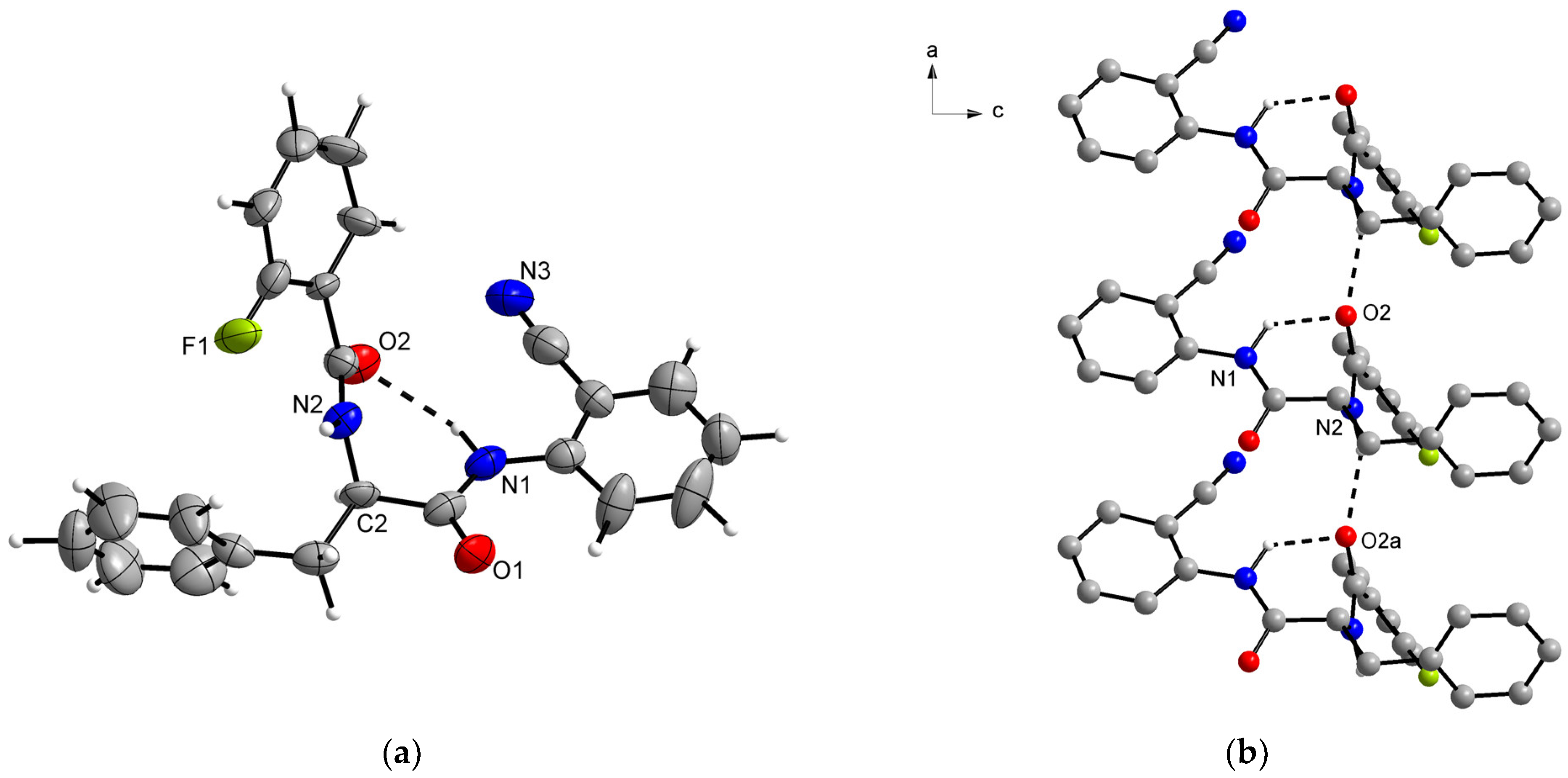 Molbank 2024 m1851 g003