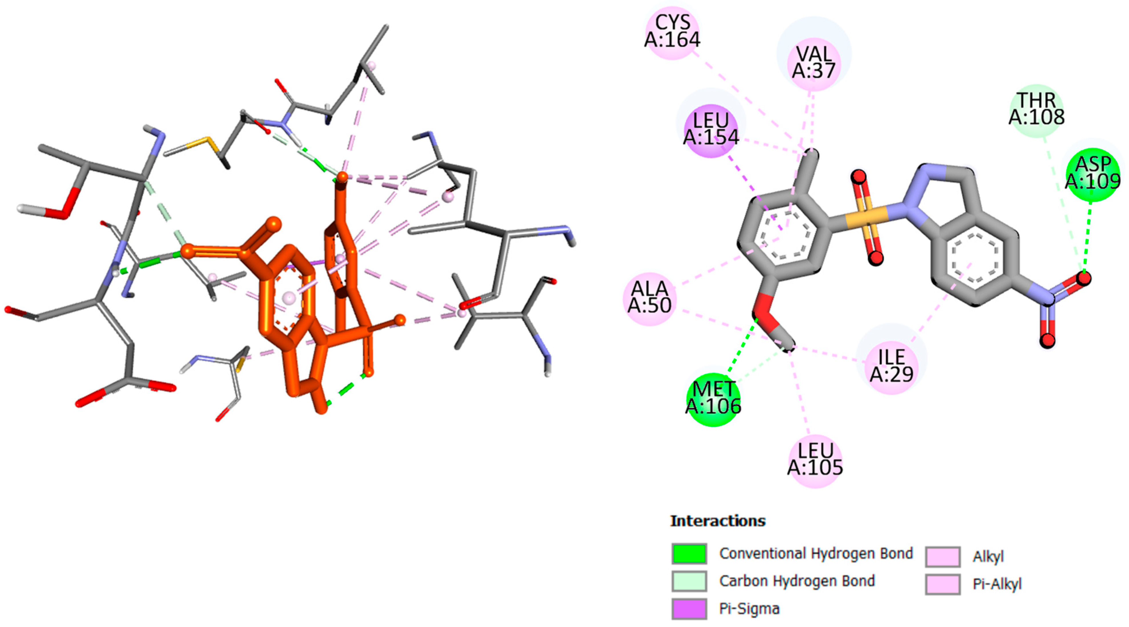 Molbank 2024 m1858 g006