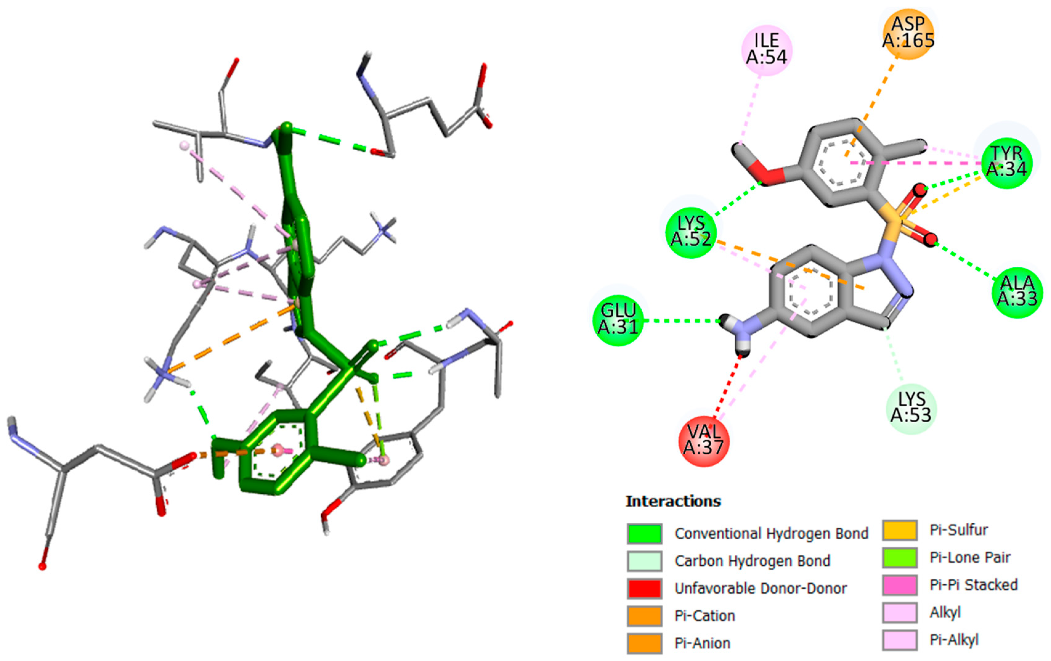 Molbank 2024 m1858 g007