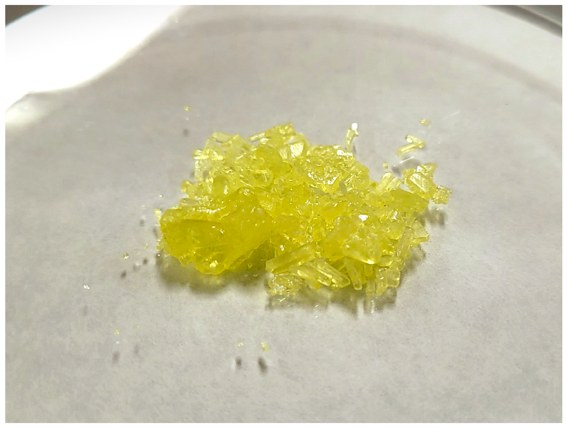 Molbank 2024 m1862 g001