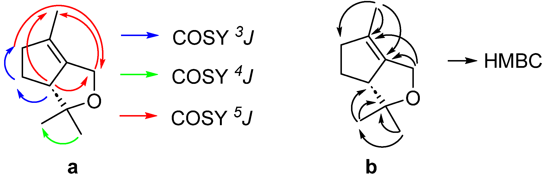 Molbank 2024 m1902 g002