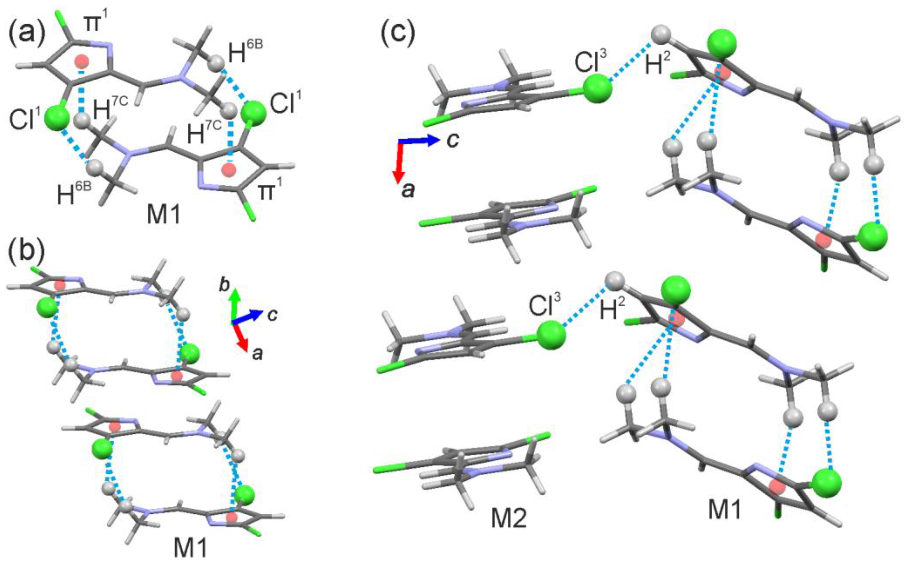 Molbank 2025 m1979 g002