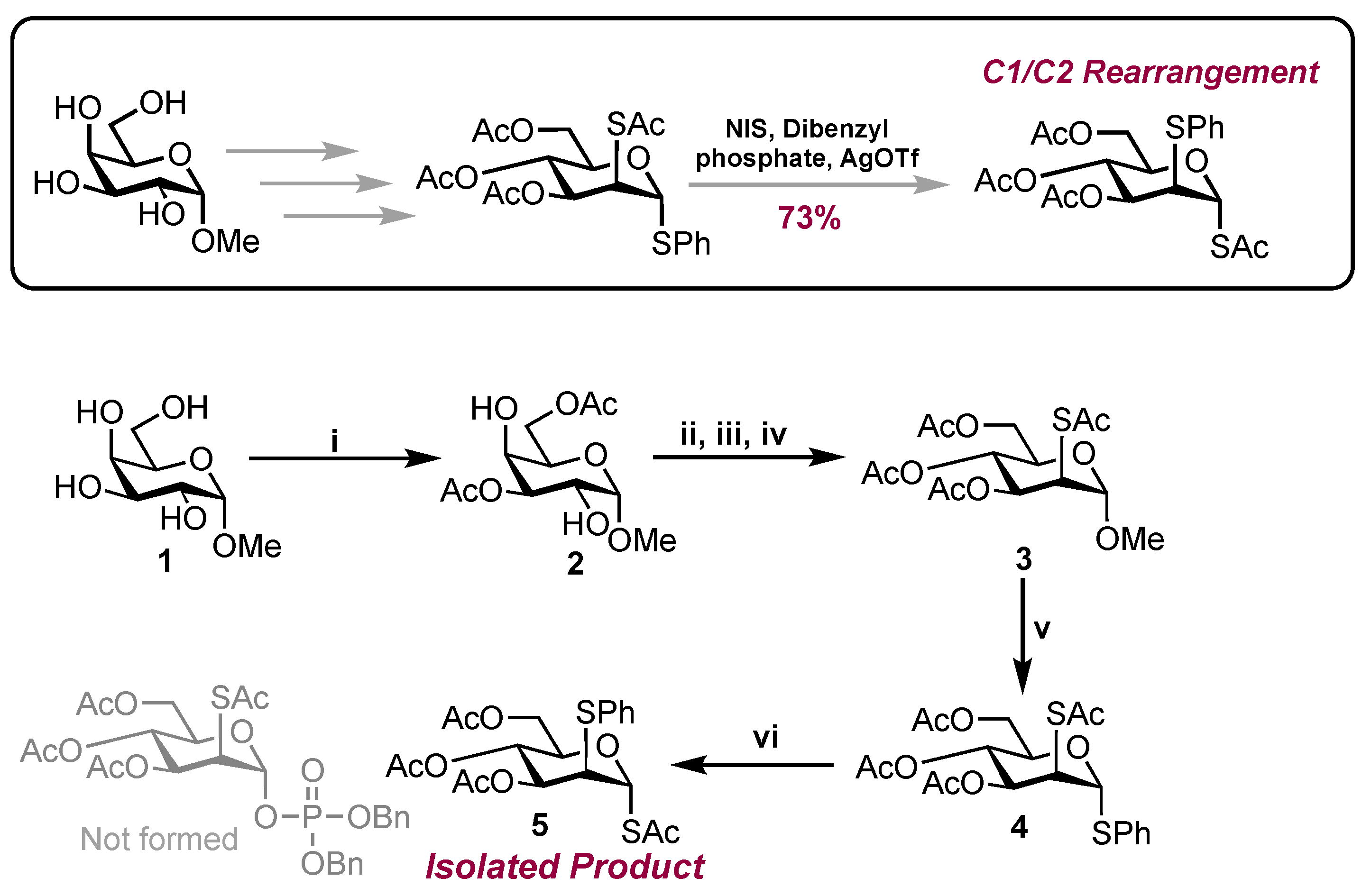 Molbank 2025 m1981 sch001