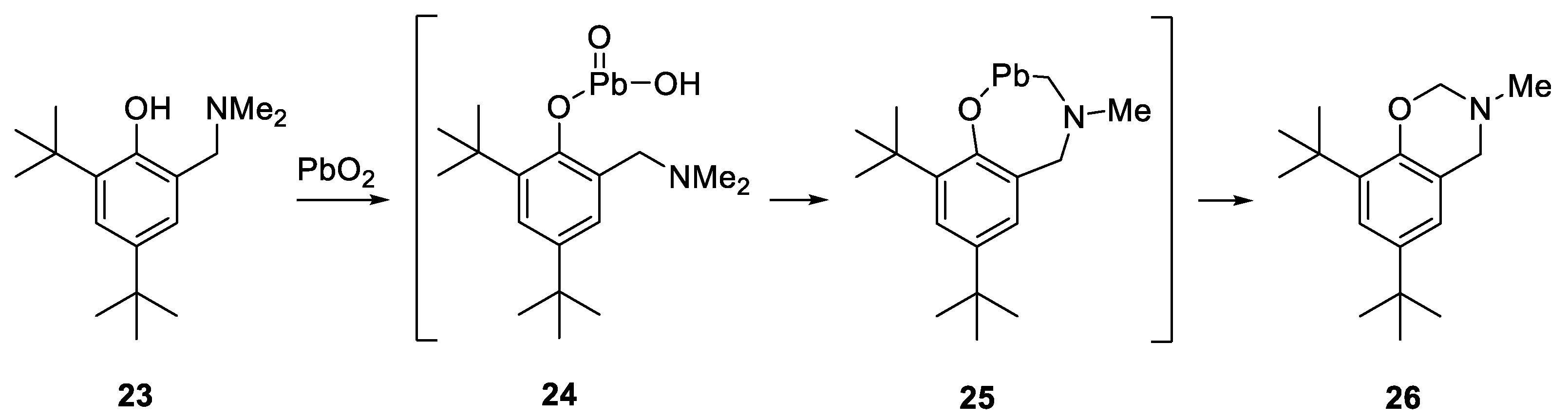 Molbank 2025 m1999 sch004