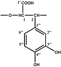 Molecules 10 01135 i001