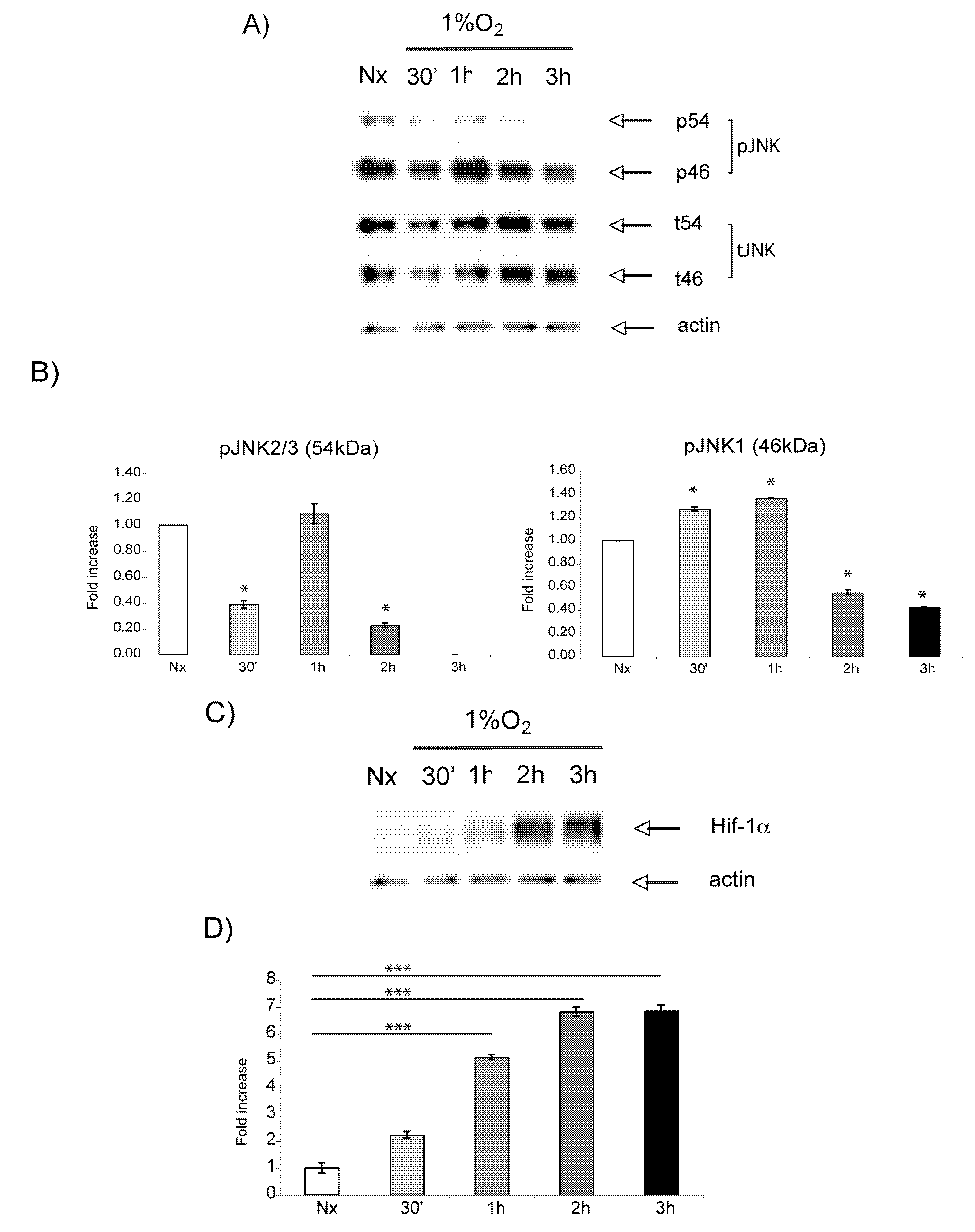 Molecules 15 00114 g003