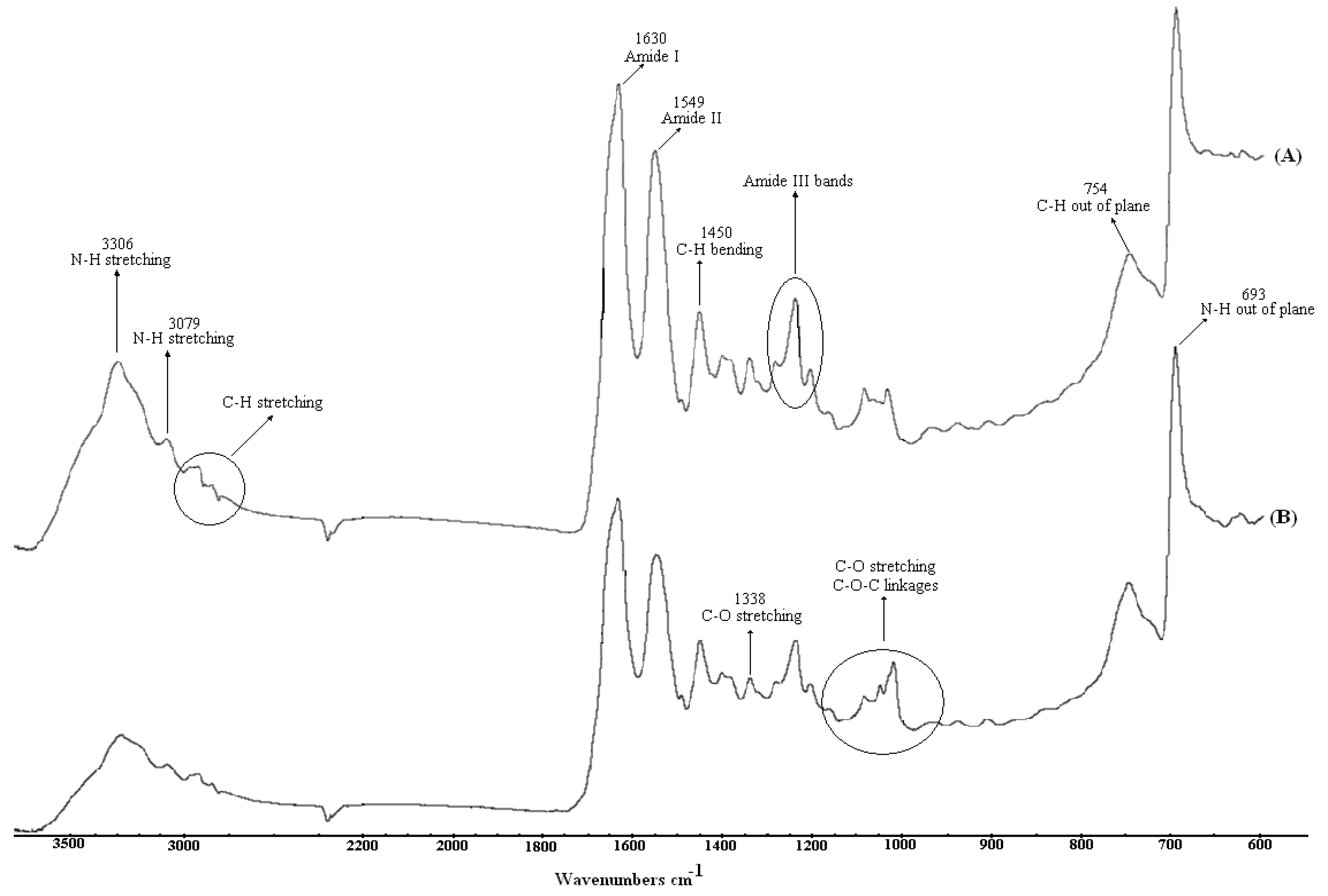 Molecules 15 02845 g001
