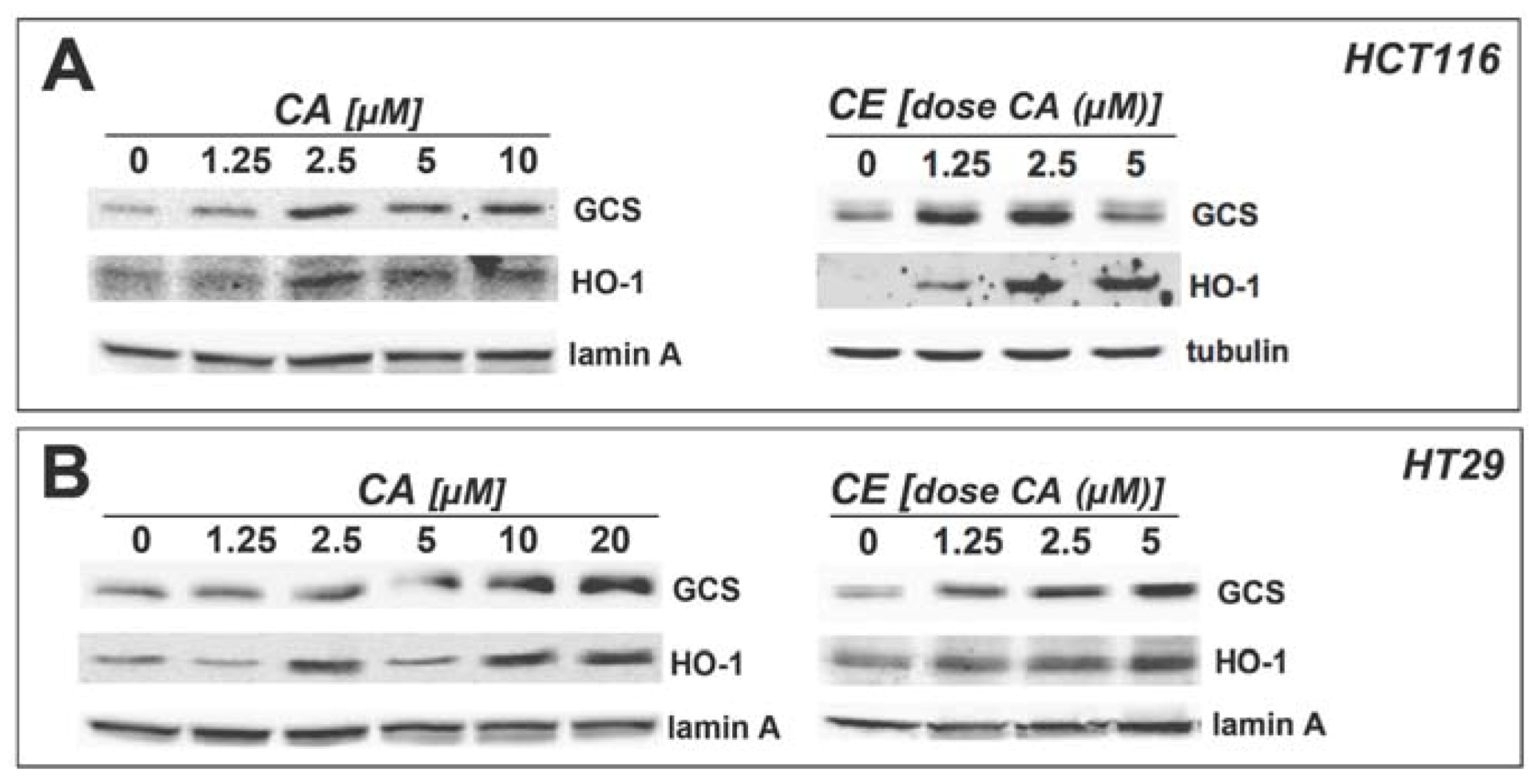 Molecules 15 03338 g004