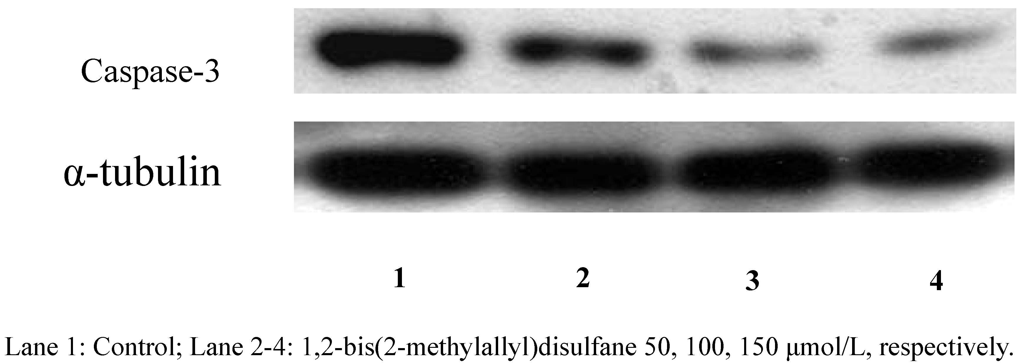 Molecules 15 03634 g005