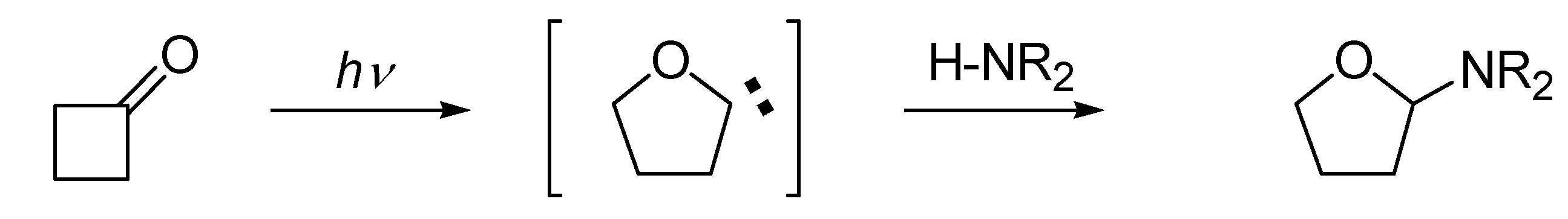 Molecules 15 03816 g003