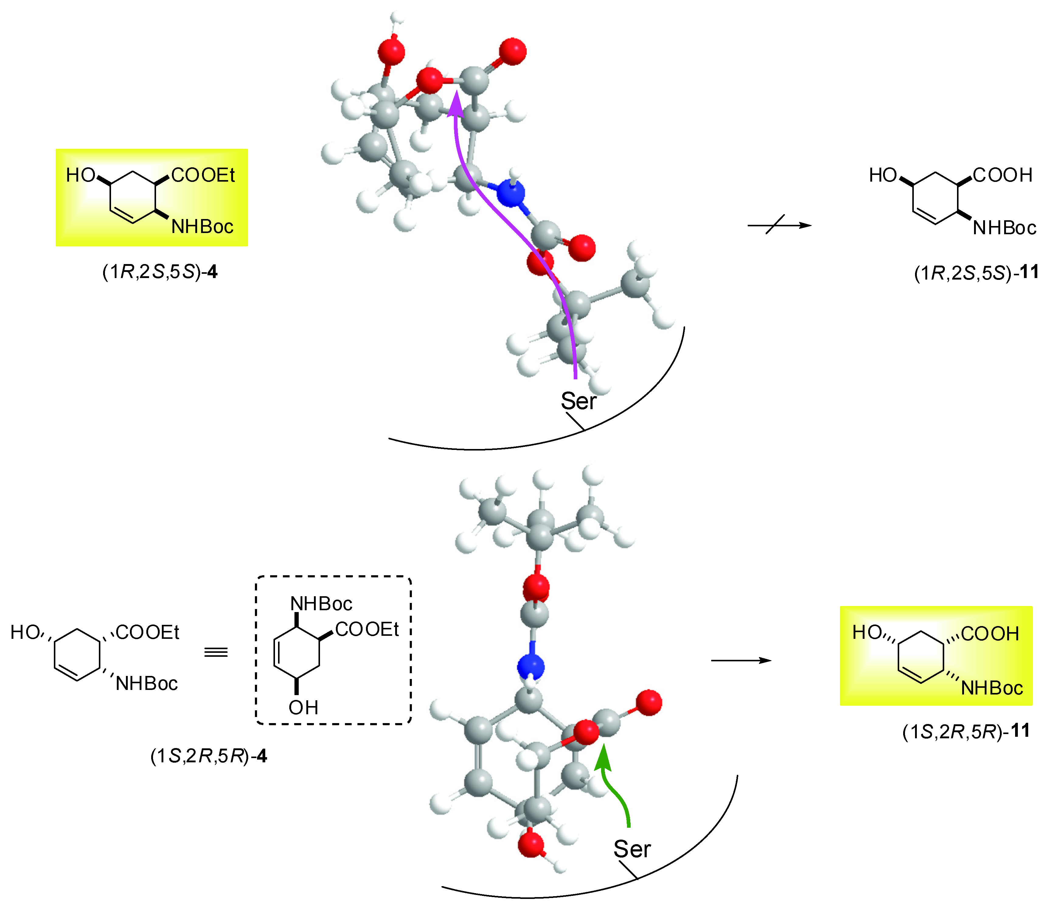 Molecules 15 03998 g002