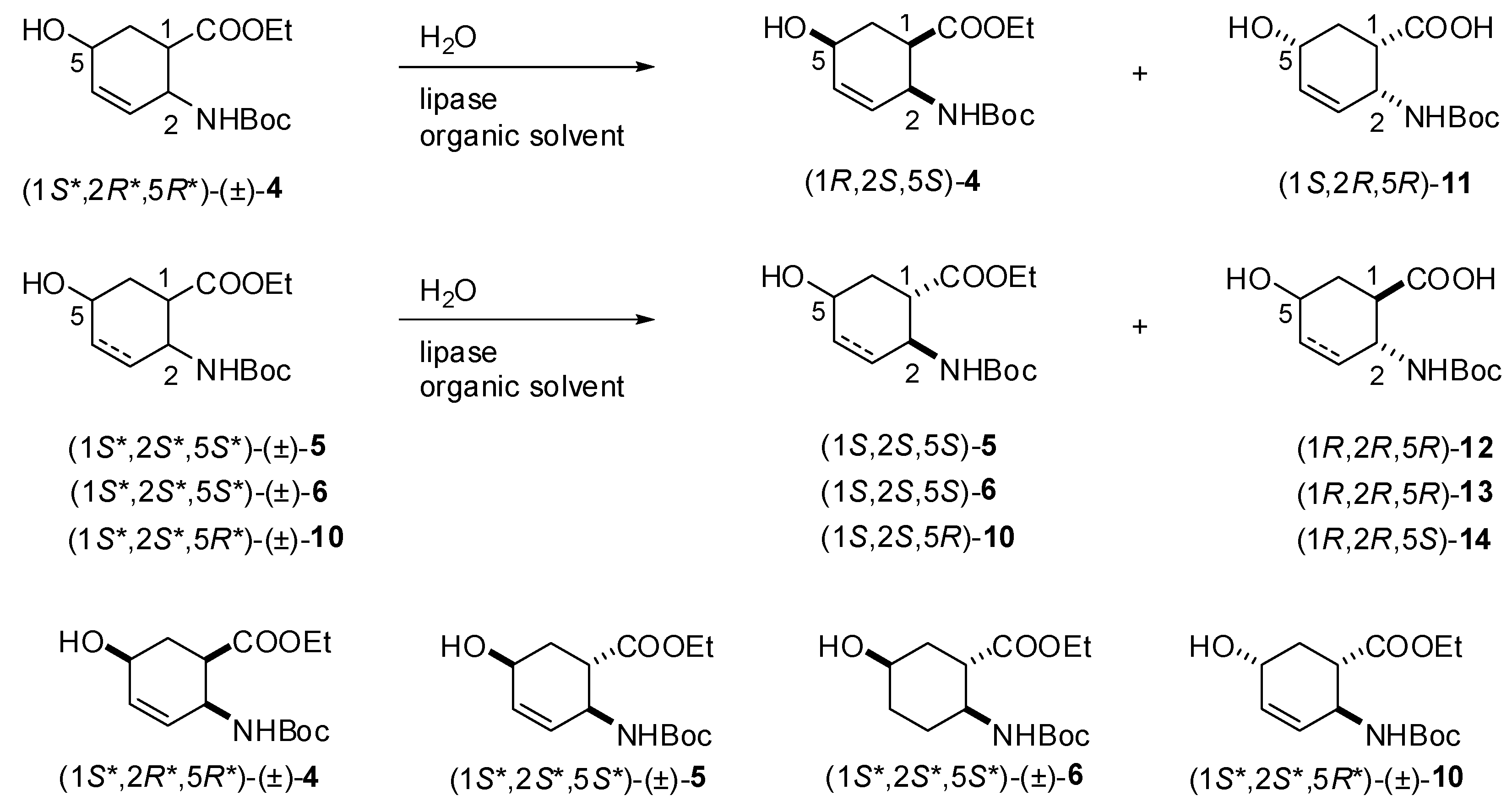 Molecules 15 03998 g006