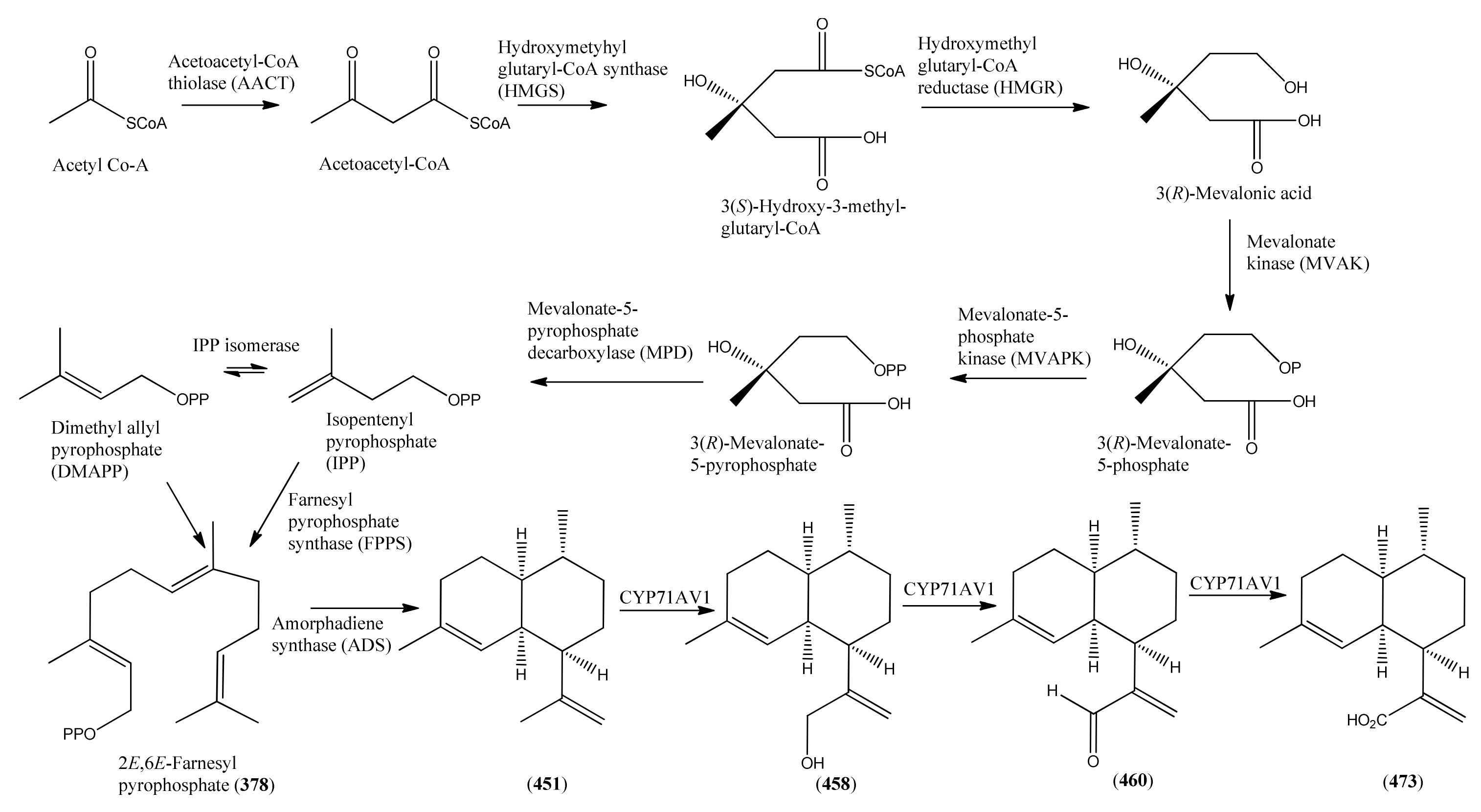 Molecules 15 07603 sch013