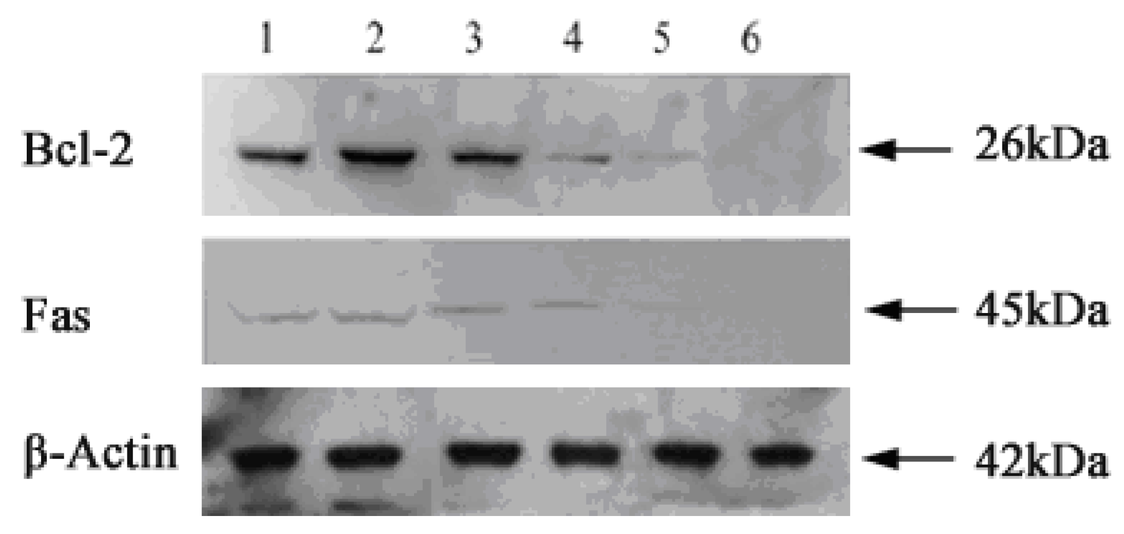 Molecules 16 01389 g007 Molecules 16 01389 g007