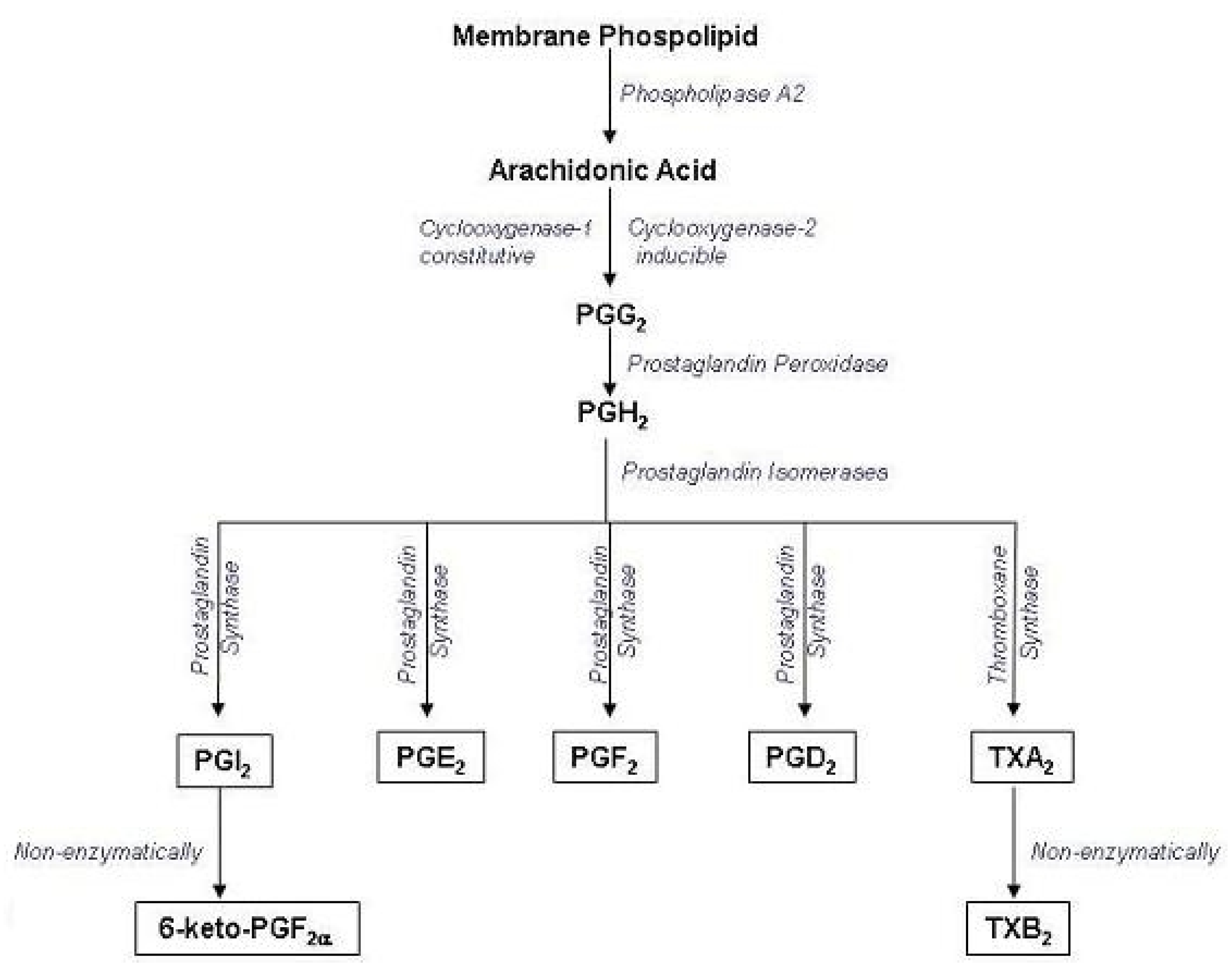 Molecules 16 02053 g005