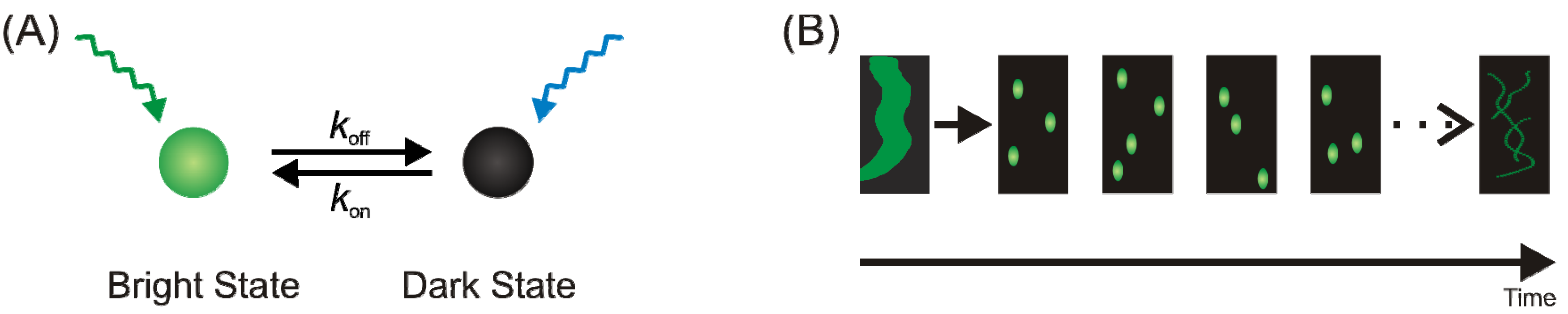 Molecules 16 03106 g001