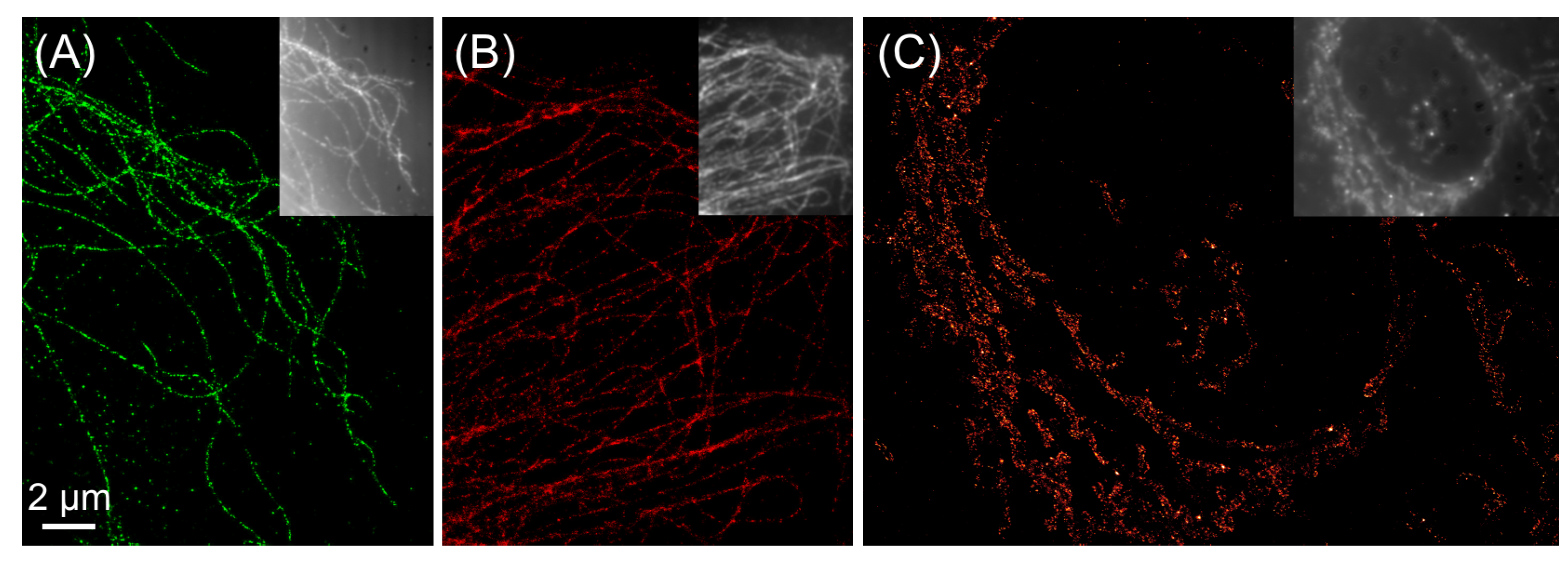 Molecules 16 03106 g002