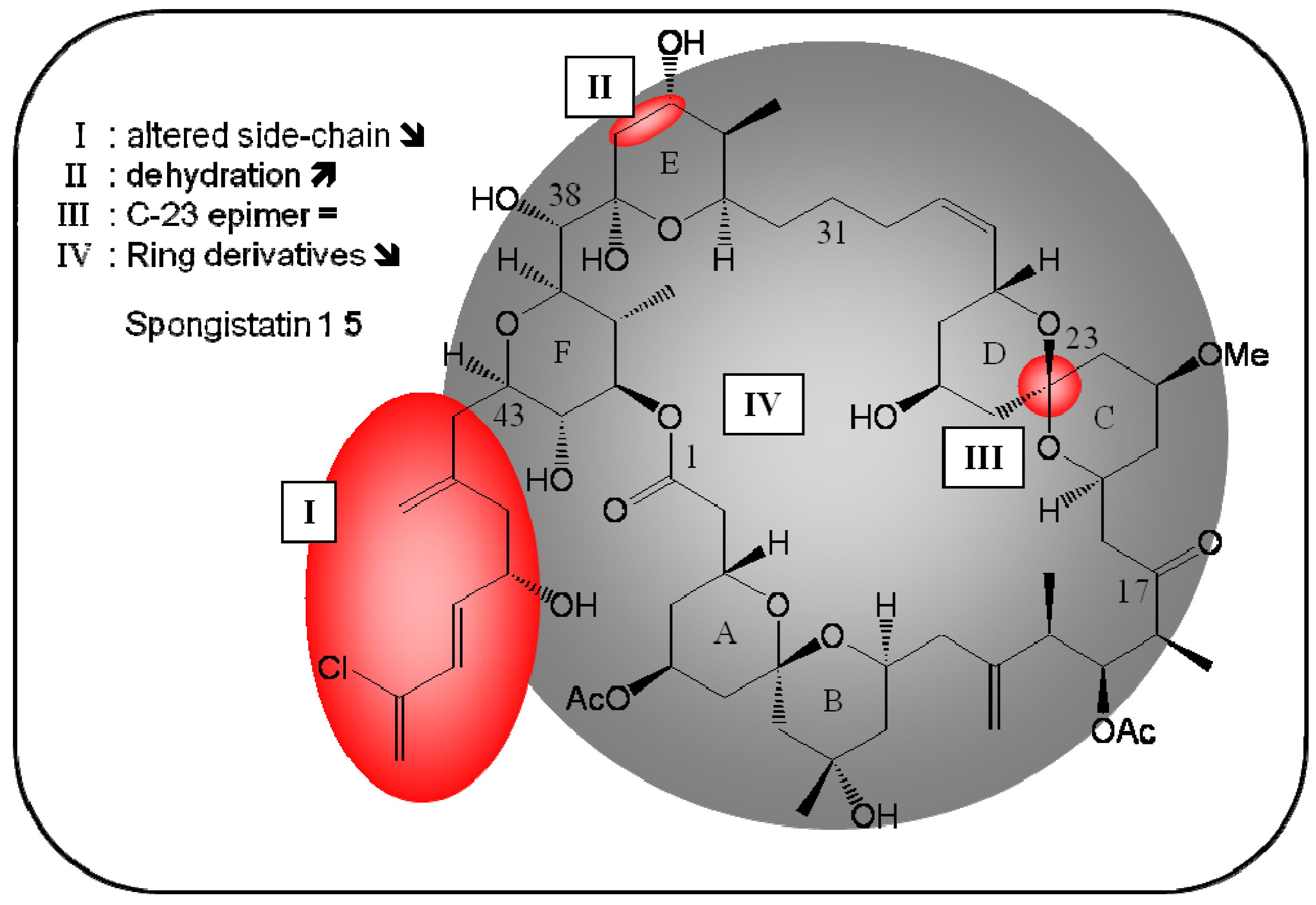 Molecules 16 05629 g006