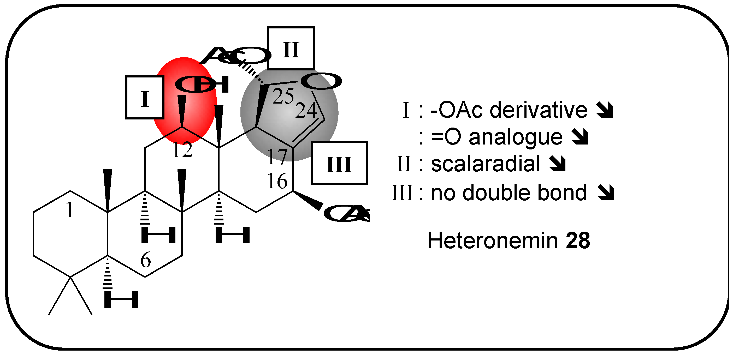 Molecules 16 05629 g008