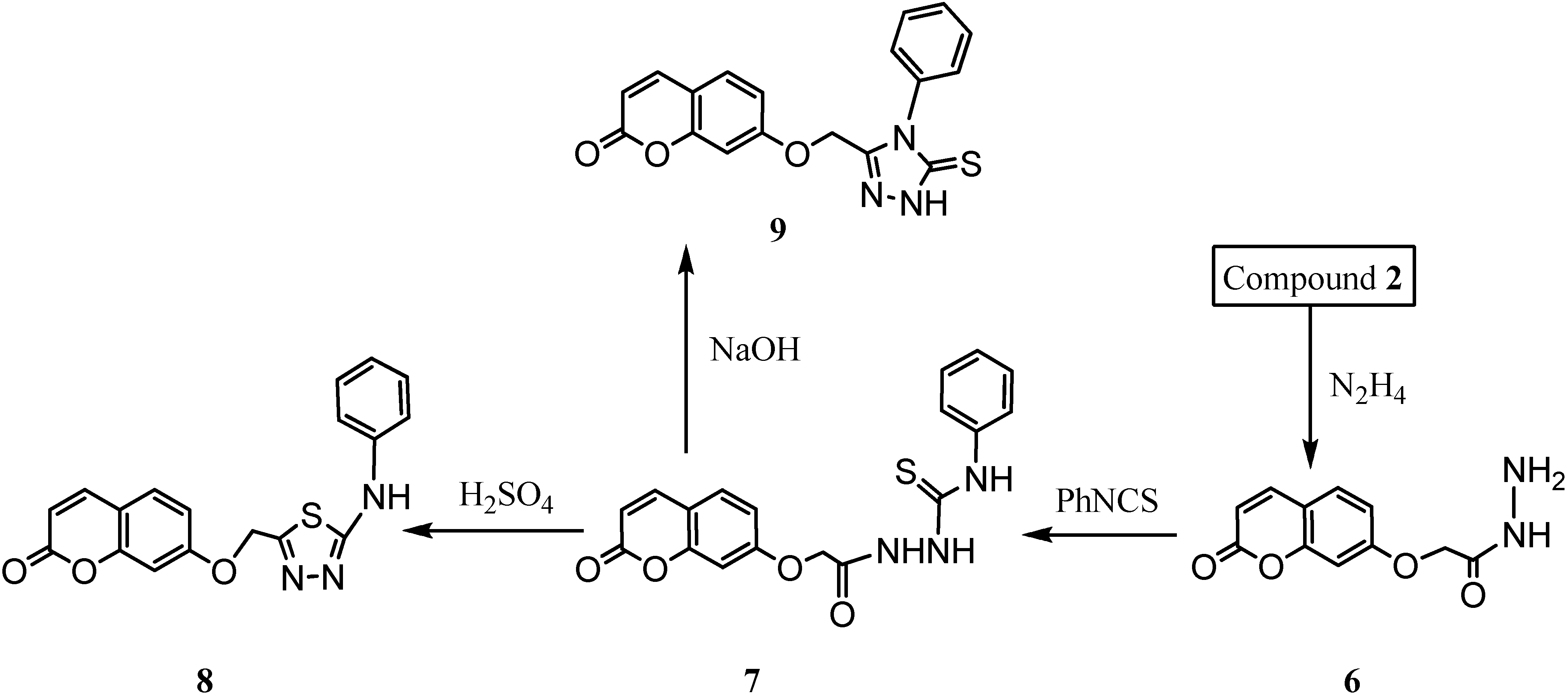 Molecules | Free Full-Text | The Use of Umbelliferone in the Synthesis ...