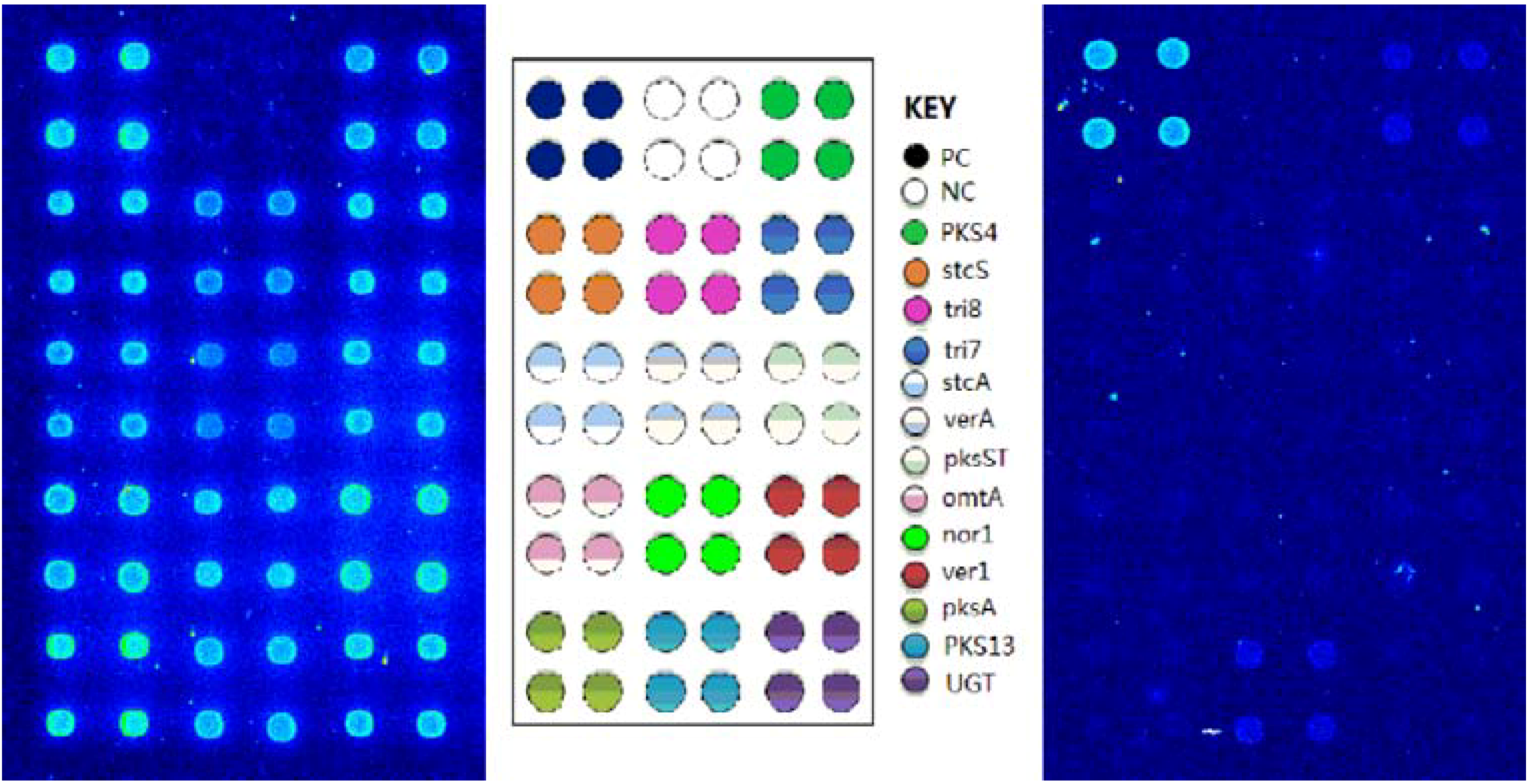 Molecules 16 07365 g004