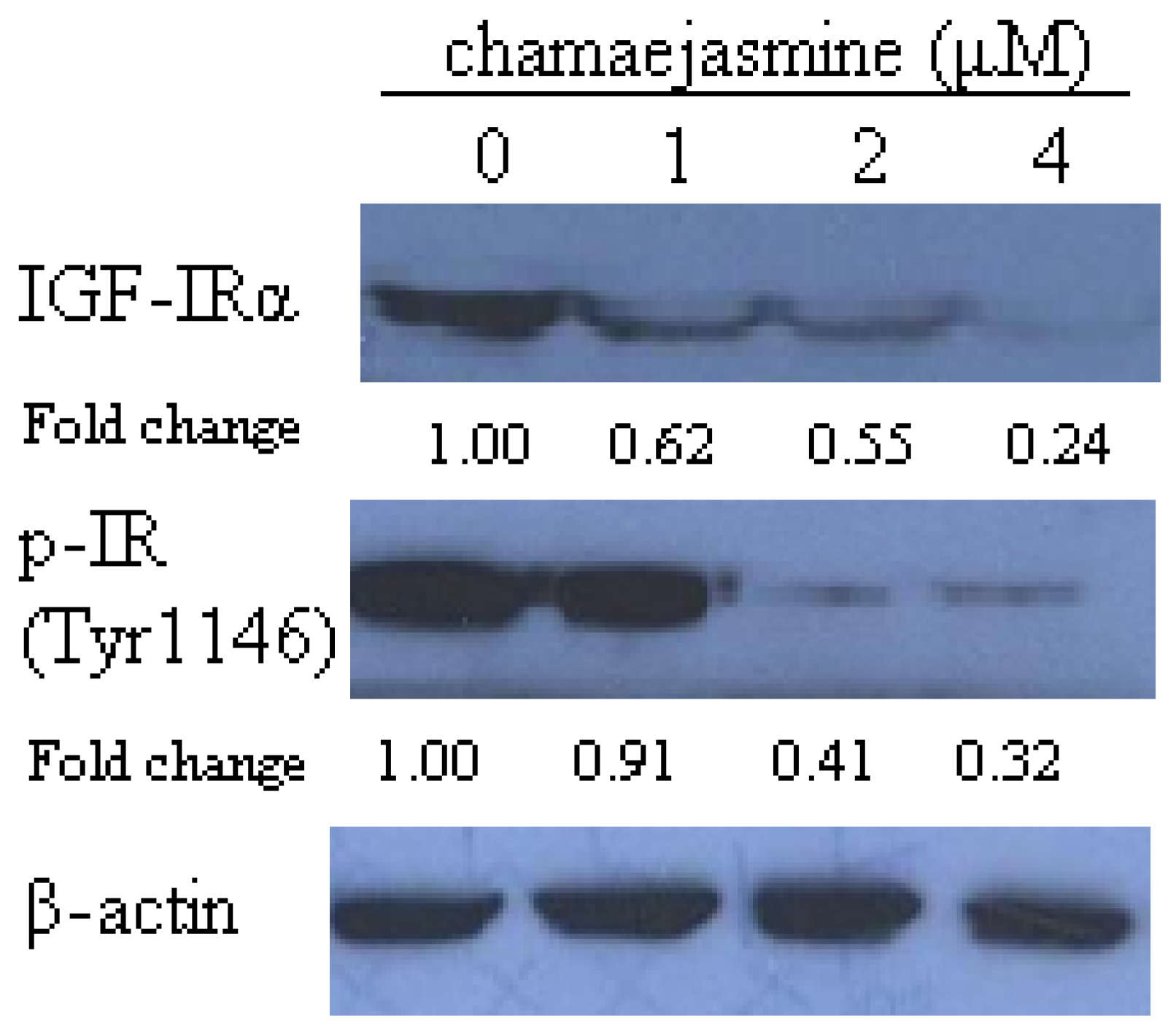 Molecules 16 08152 g003