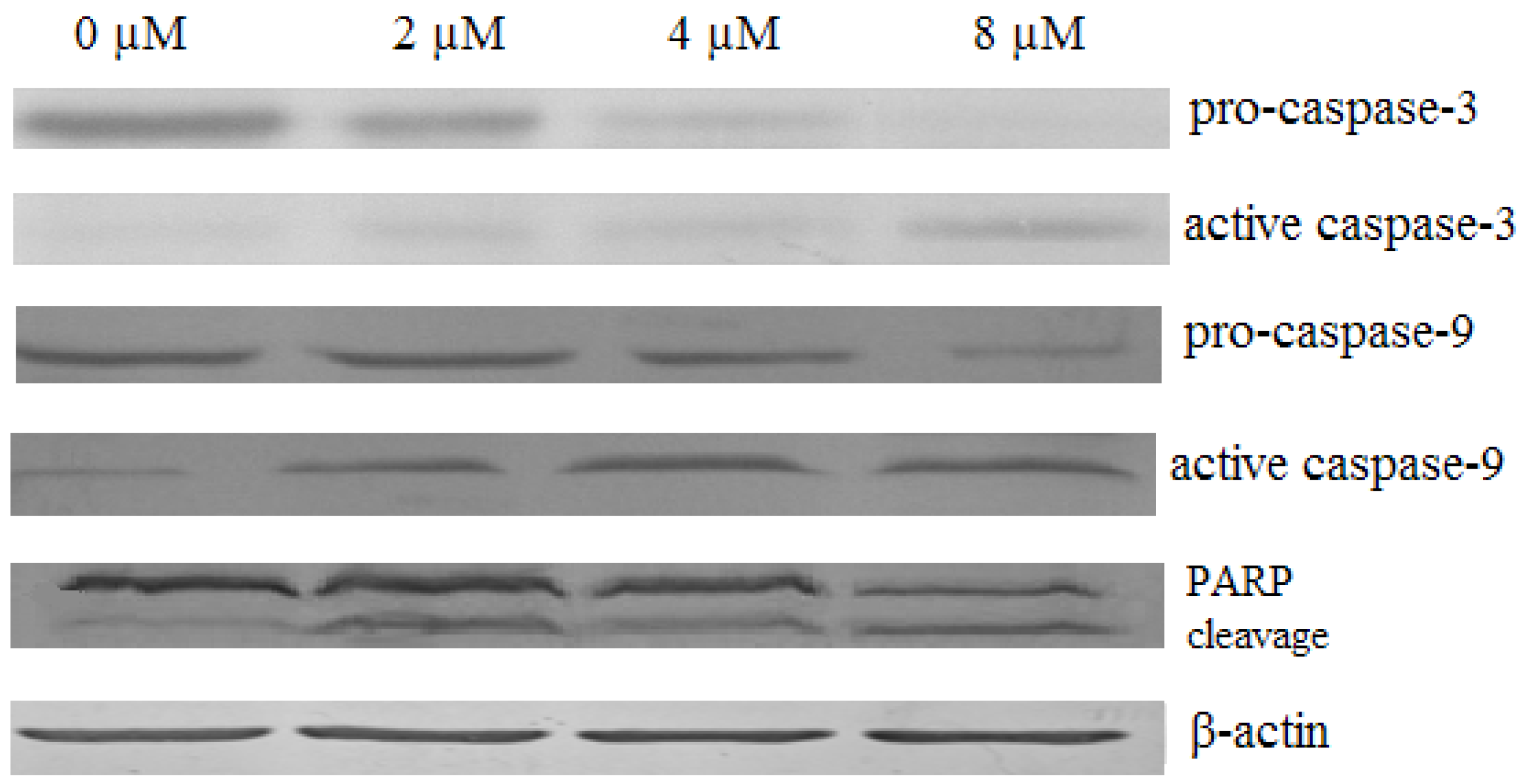 Molecules 16 08165 g009 Molecules 16 08165 g009
