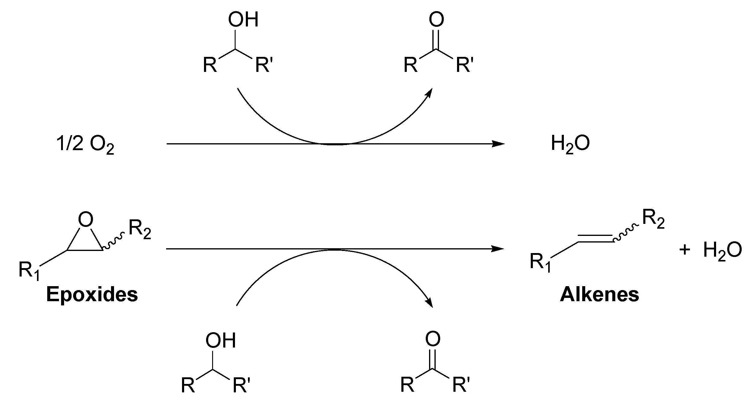 Molecules 16 08209 g008