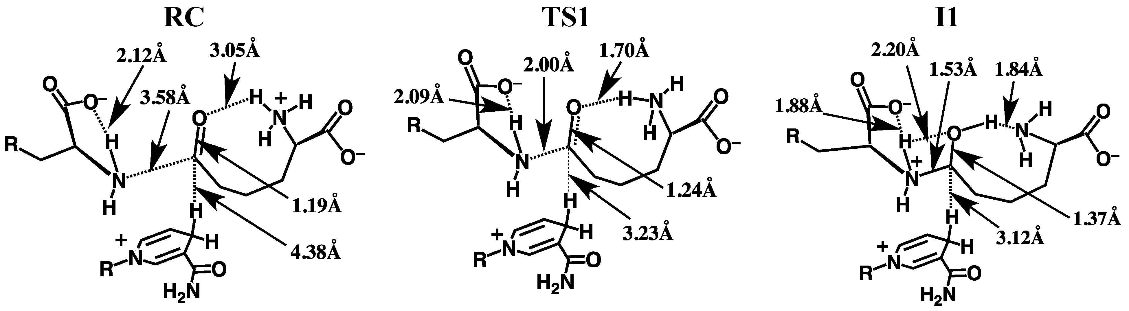 Molecules 16 08569 g004