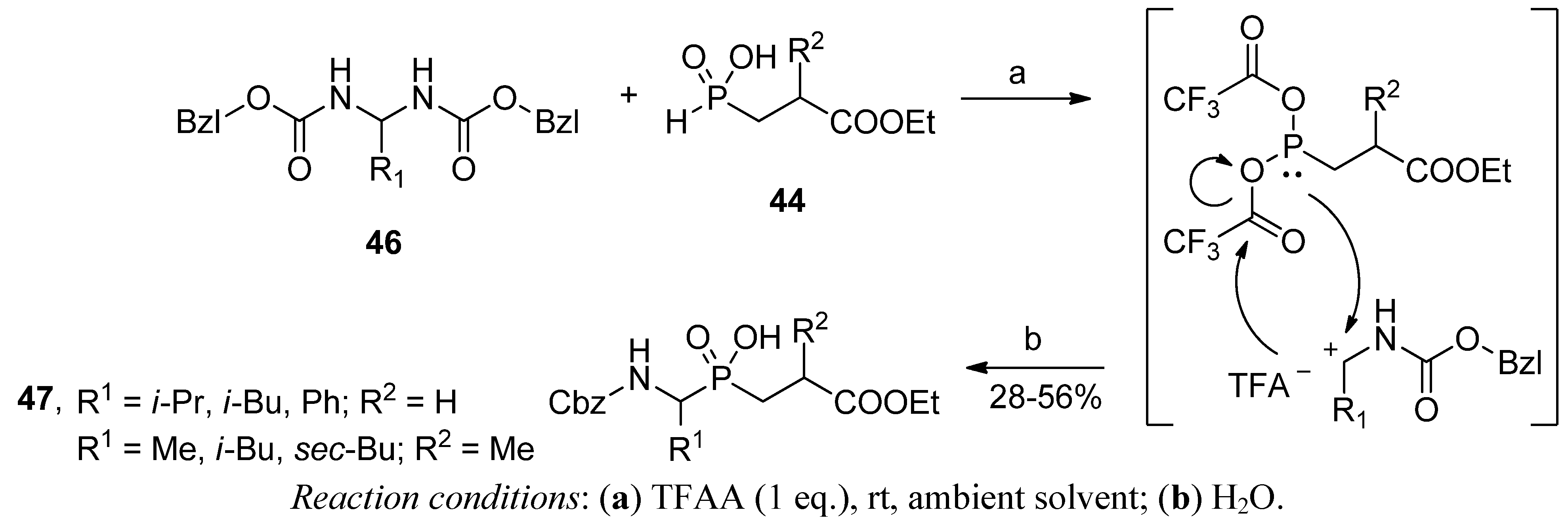 Molecules 17 13530 g013