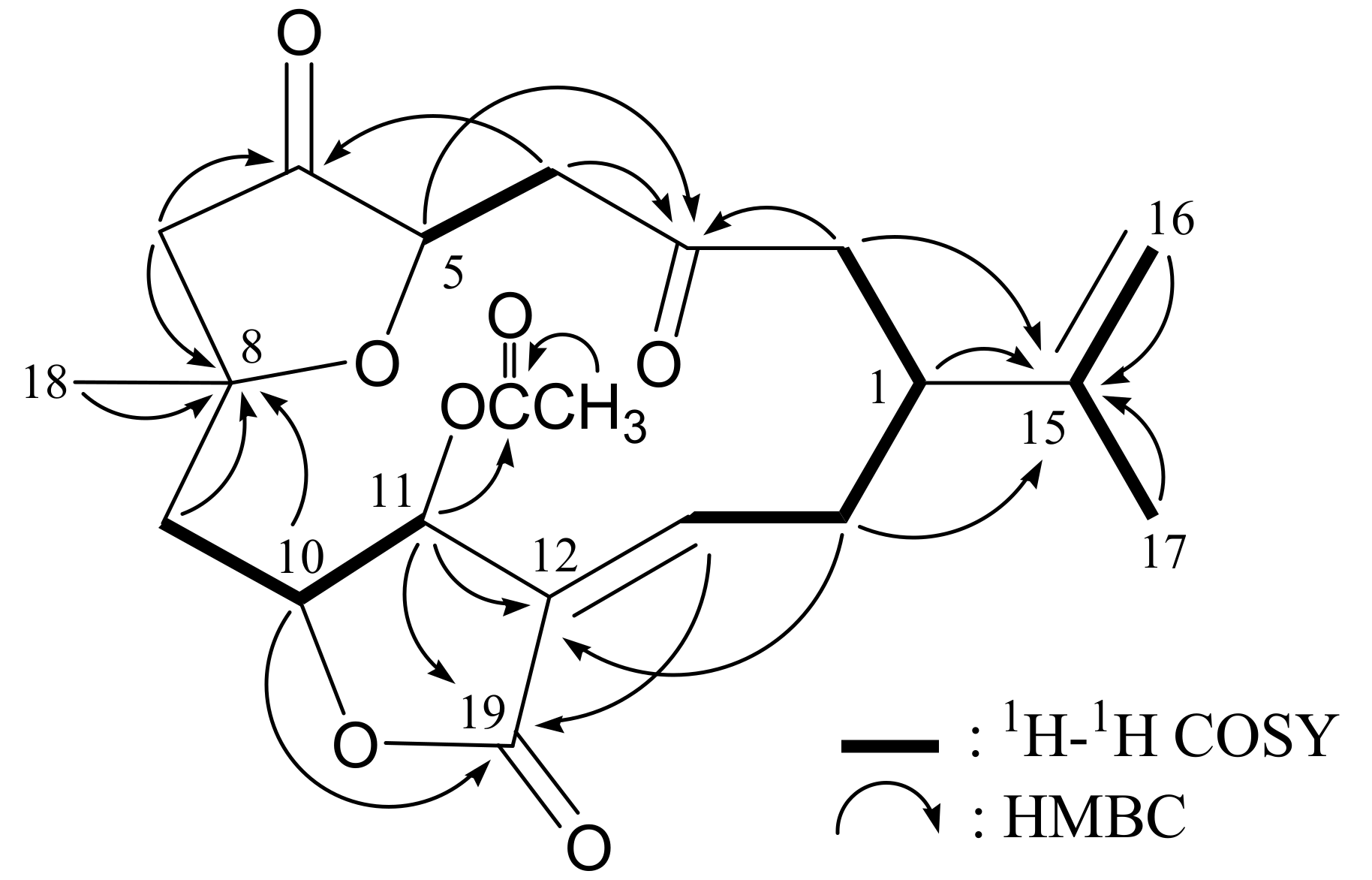 Molecules 17 14058 g002
