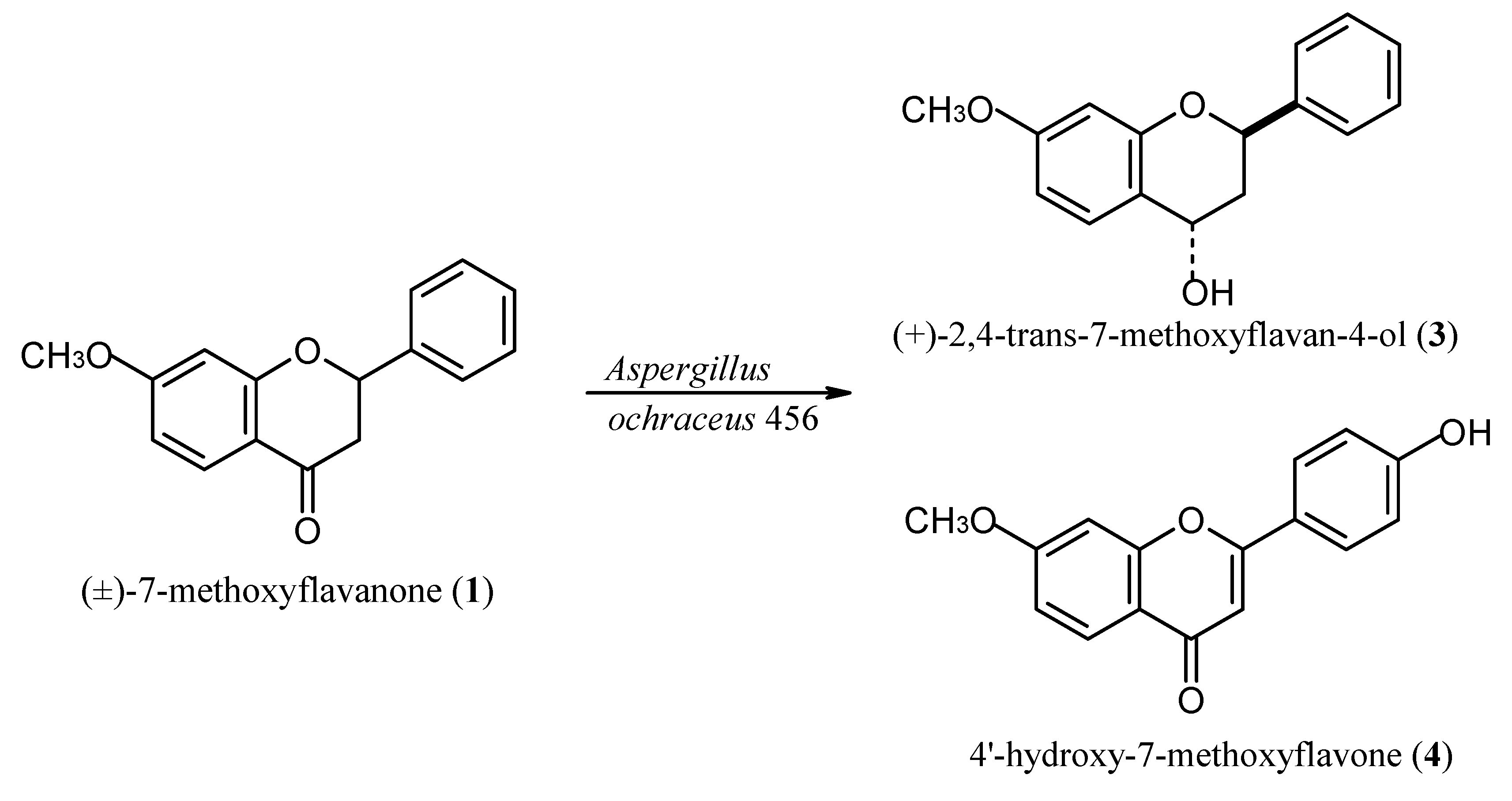 Molecules 17 14810 g002