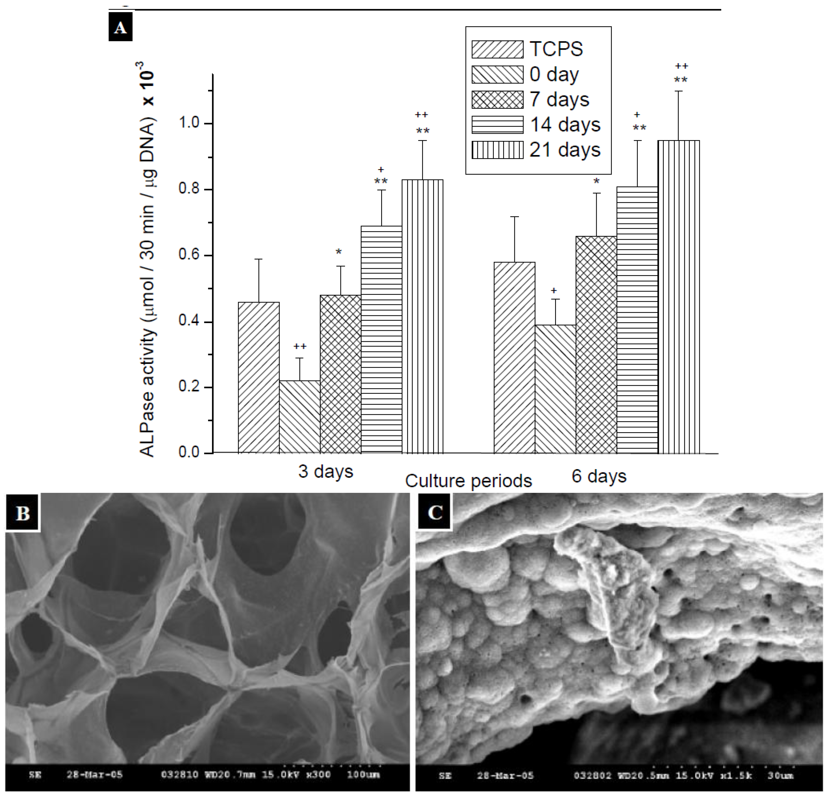 Molecules 18 00027 g008