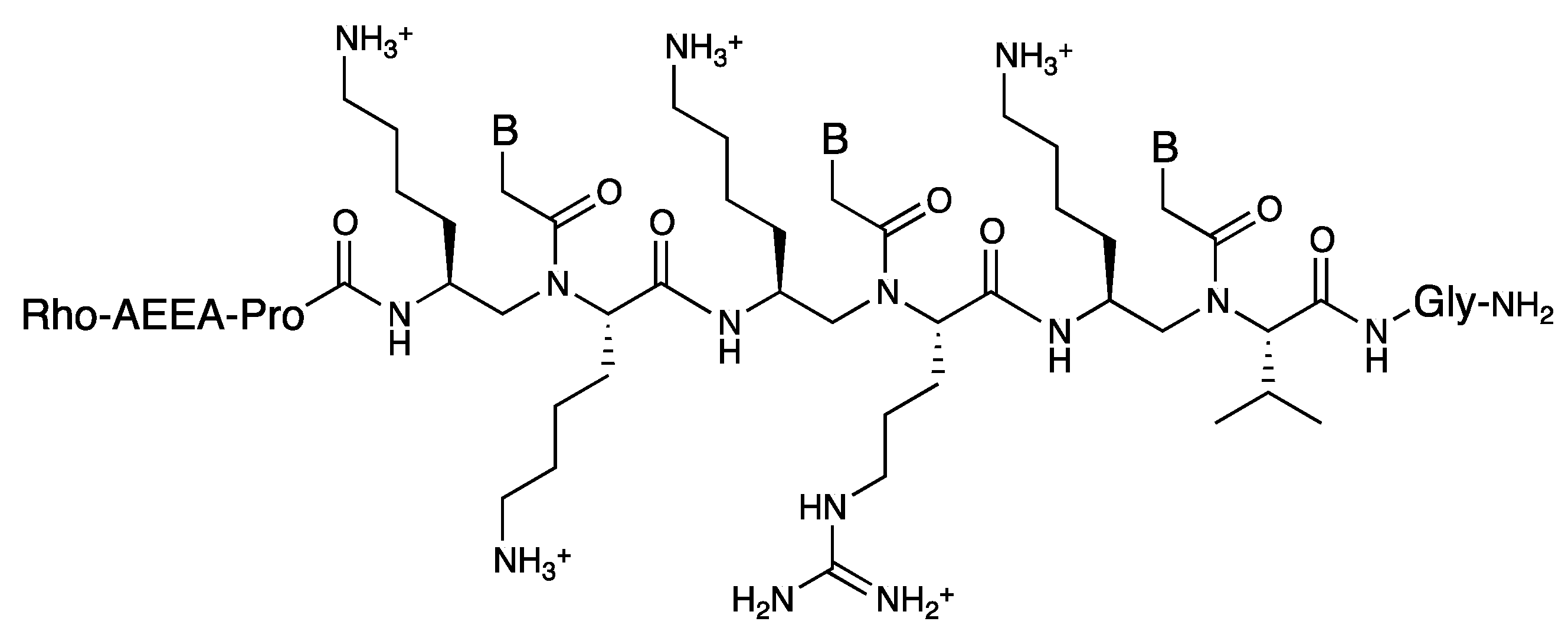 The glycine insertion of the 42G peptide alleviates the HR2 backbone