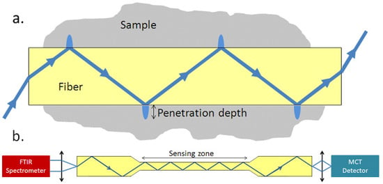 Optical Fiber Spectroscopy