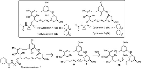 Molecules | Free Full-Text | Macrocyclic Drugs and Synthetic Methodologies  toward Macrocycles | HTML