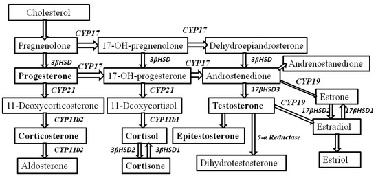 cholesterol hormone chart
