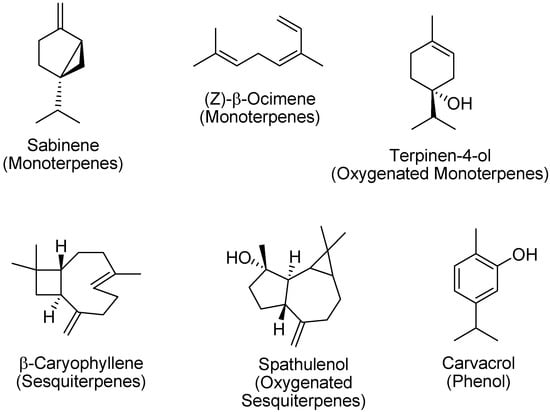 Chemical Composition and Biological Activity of the Essential Oil