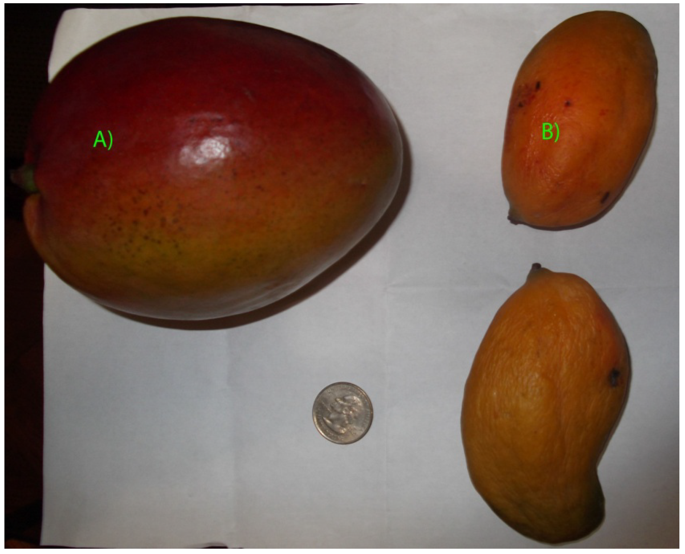 Molecules 19 00438 g001