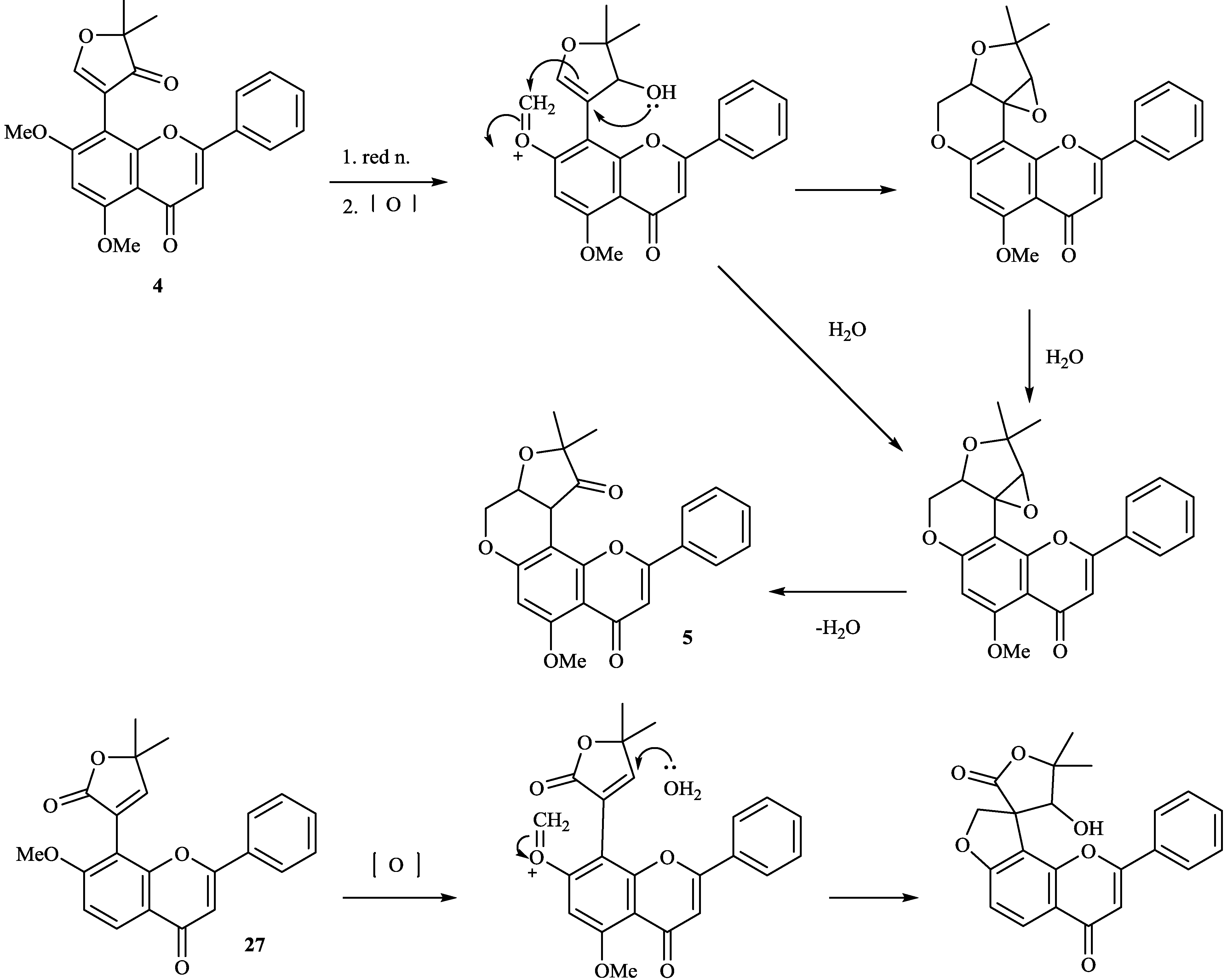 Molecules 19 01432 g014