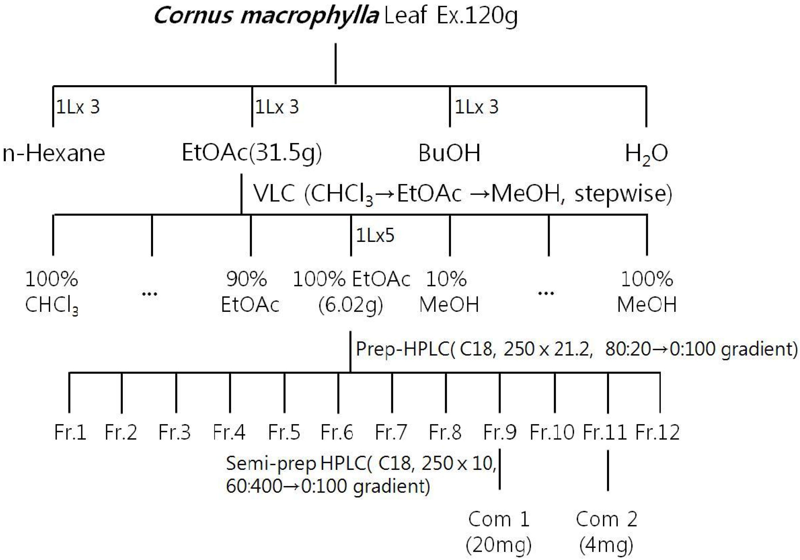 Molecules 19 03173 g001
