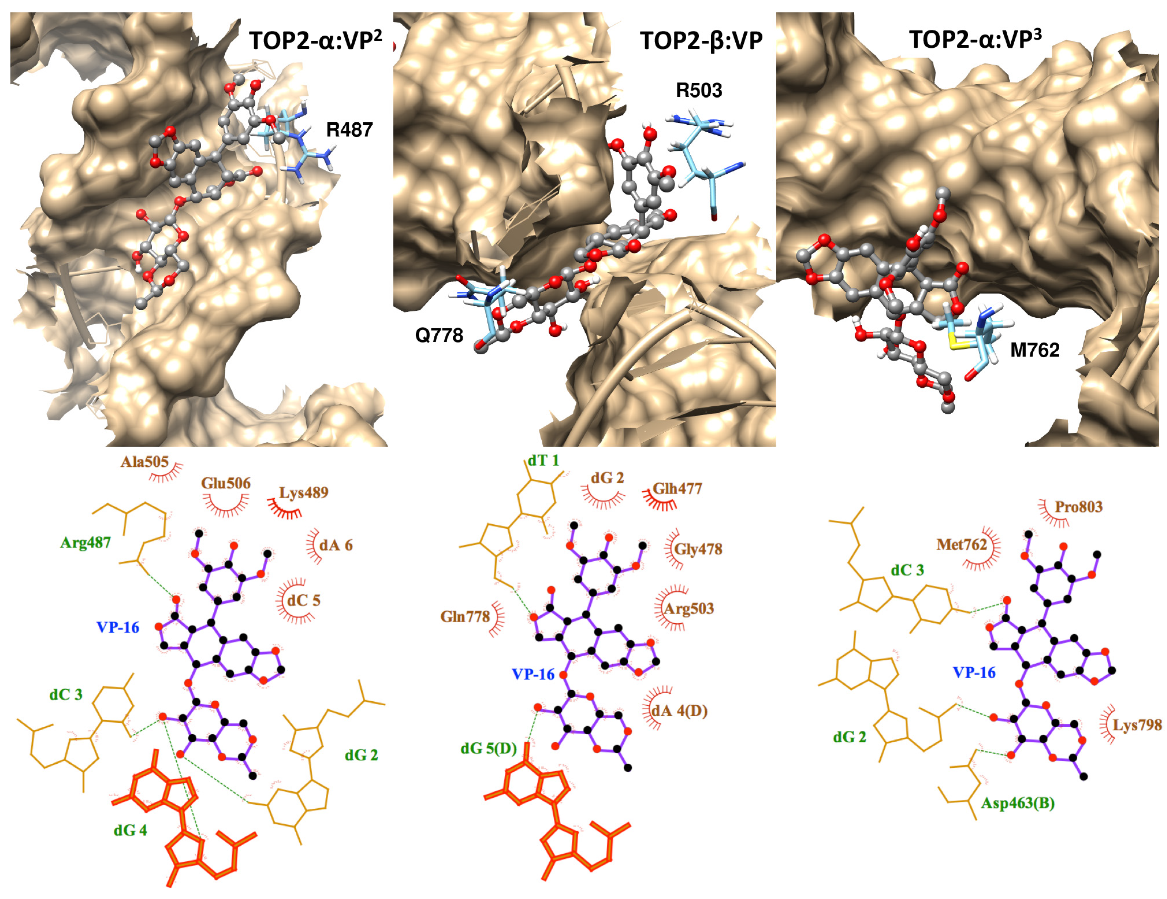 Молекулярное моделирование in silico. Механизмы in silico genotoxy. Ковид 19 молекула. ФГК molecule Layout.