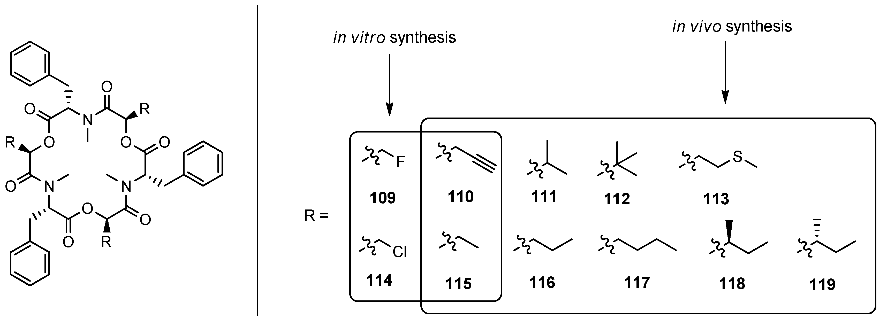 Molecules 19 12368 g010