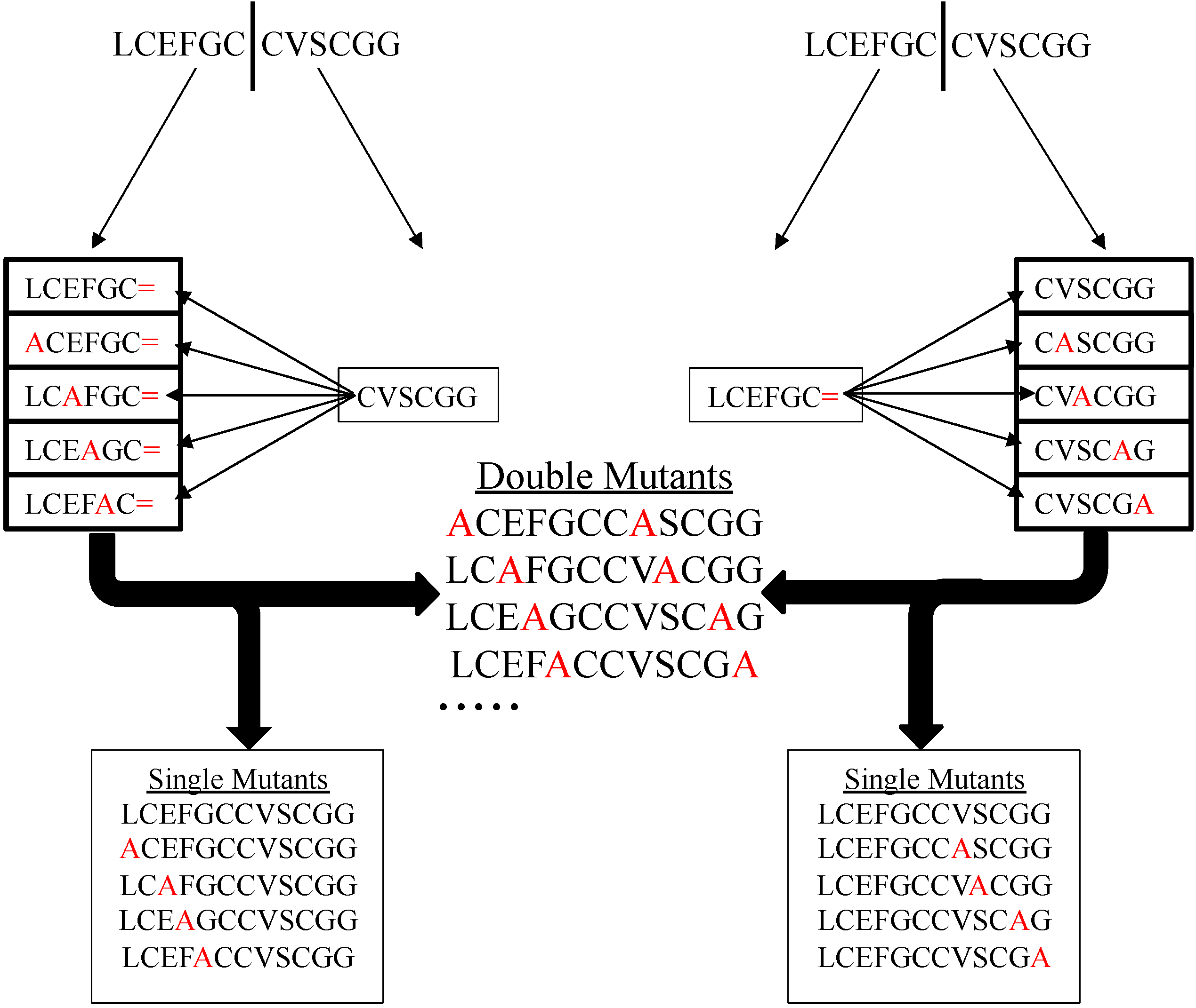 Molecules 19 14461 g002