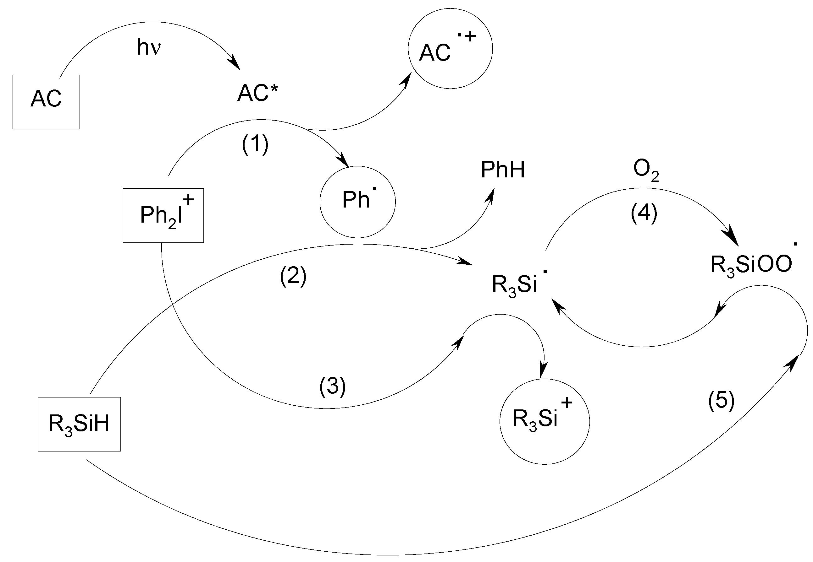 Molecules 19 15026 g005
