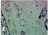 Molecules 19 15624 i023