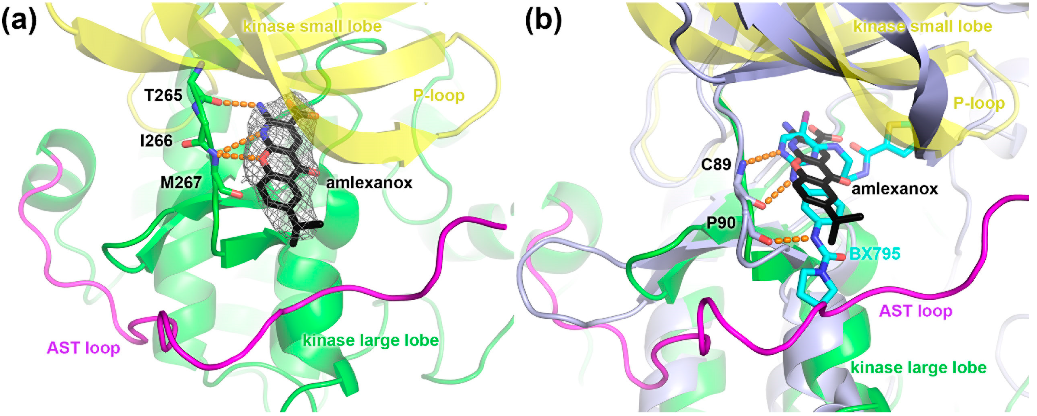 Molecules 19 16937 g004